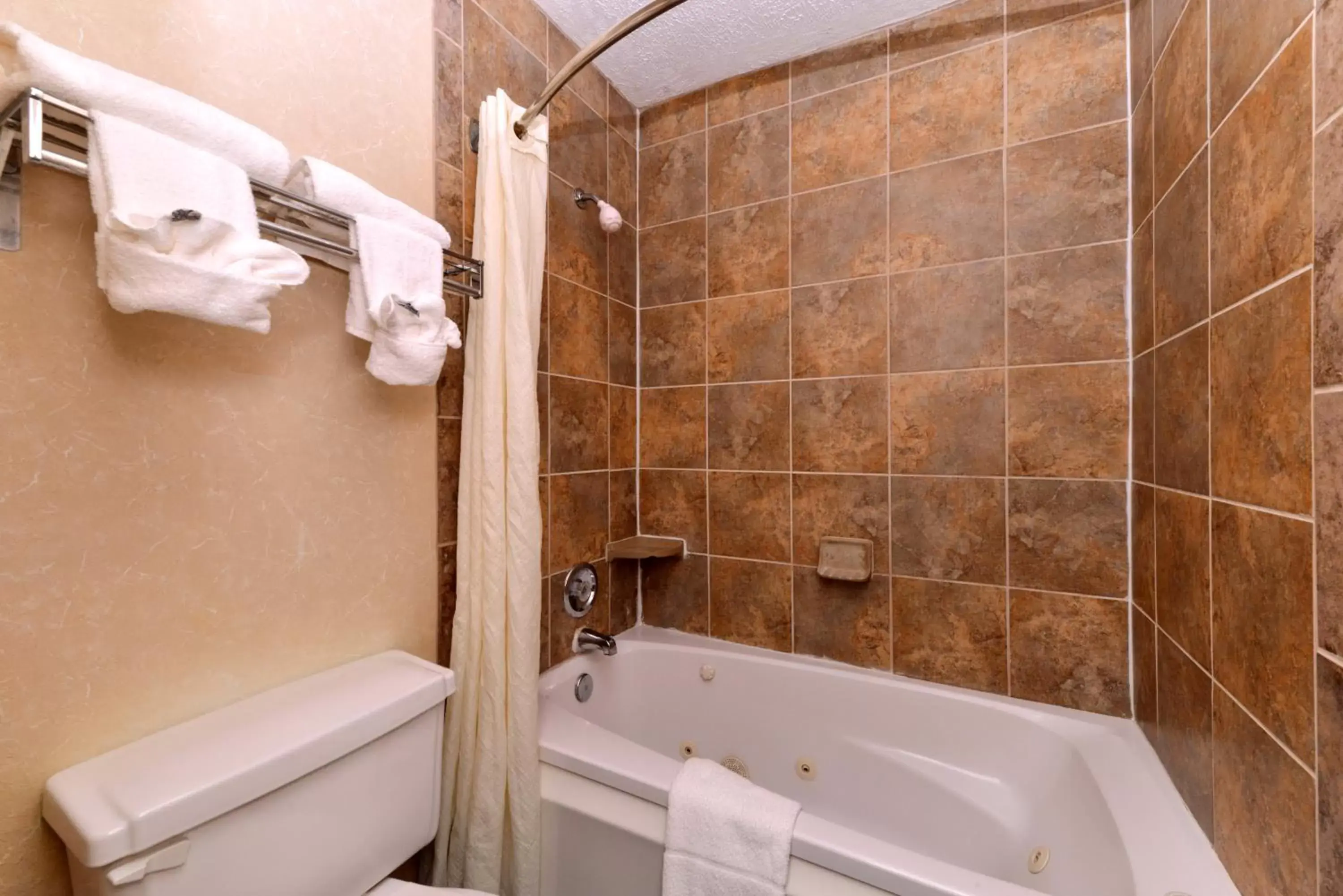 Bathroom in SureStay Plus Hotel by Best Western Fayetteville