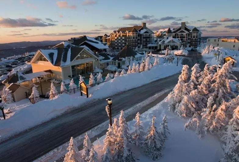 Bird's eye view in Allegheny Springs