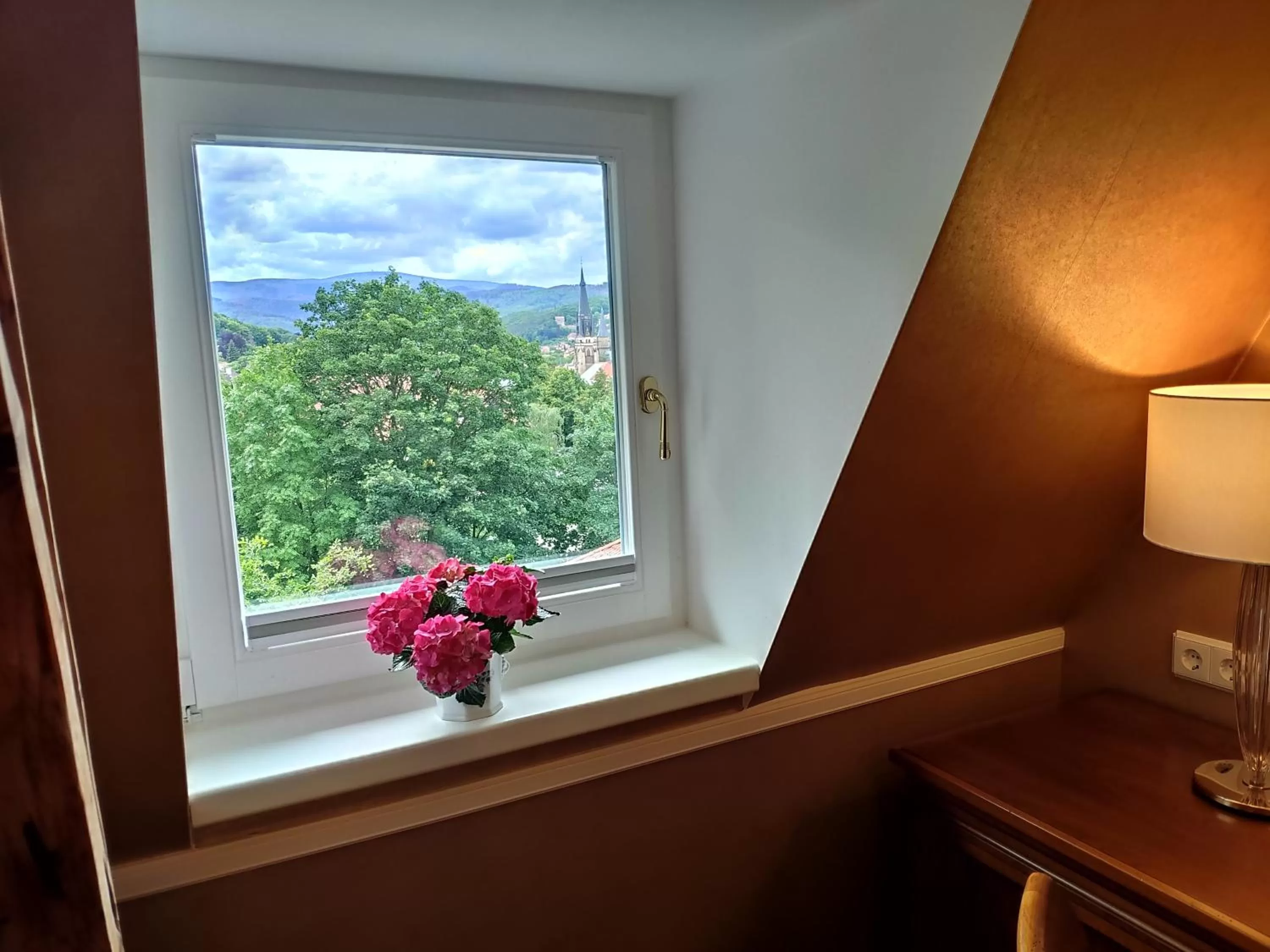 Mountain view in Hotel Erbprinzenpalais