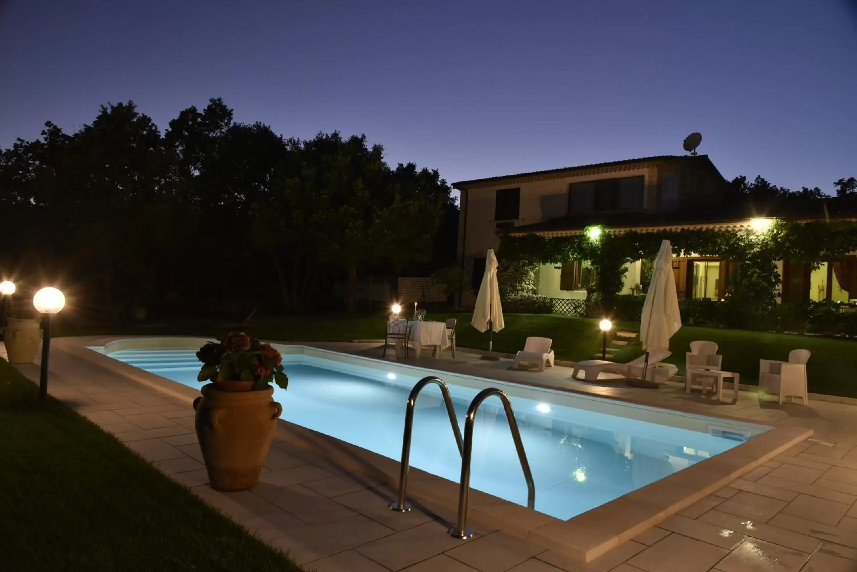 Swimming Pool in The Forest House