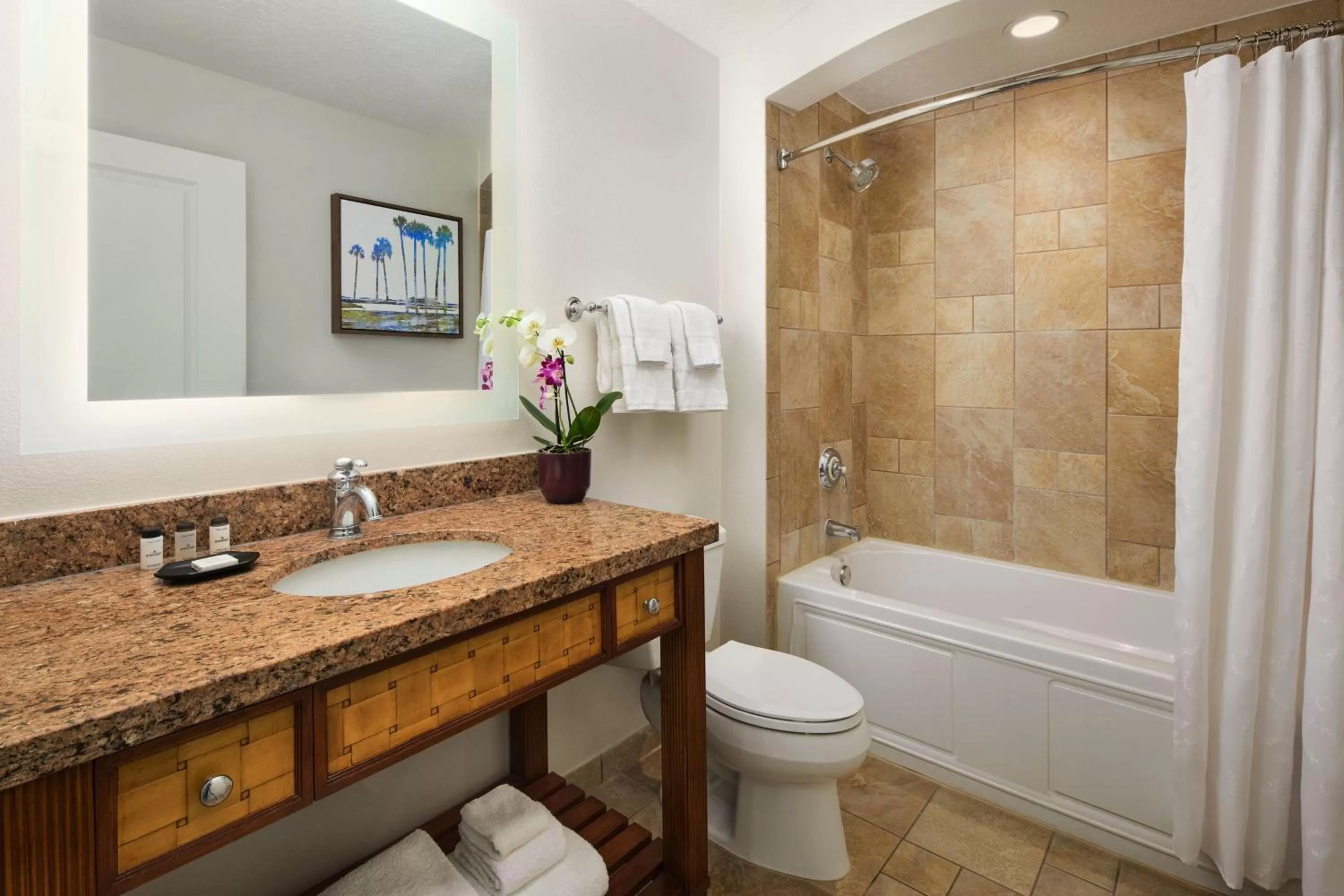 Bathroom in Sheraton Vistana Villages Resort Villas, I-Drive Orlando