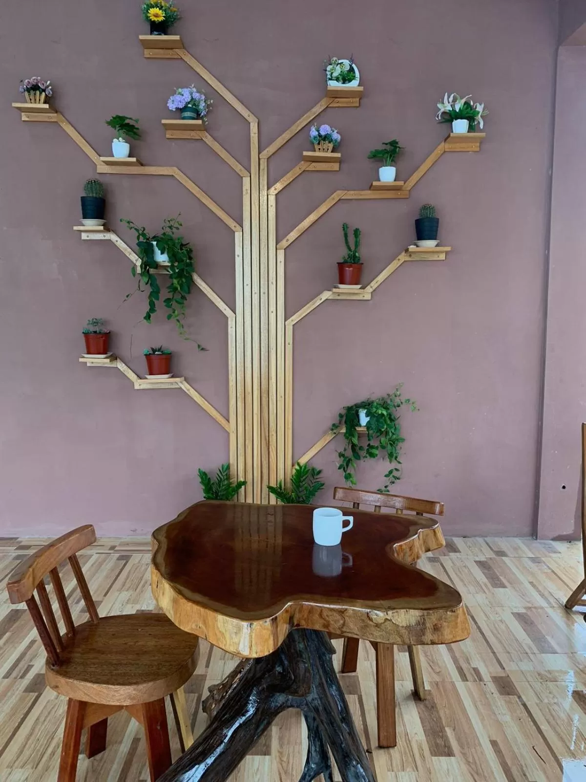 Restaurant/places to eat in Sunshine View Hotel and Restaurant