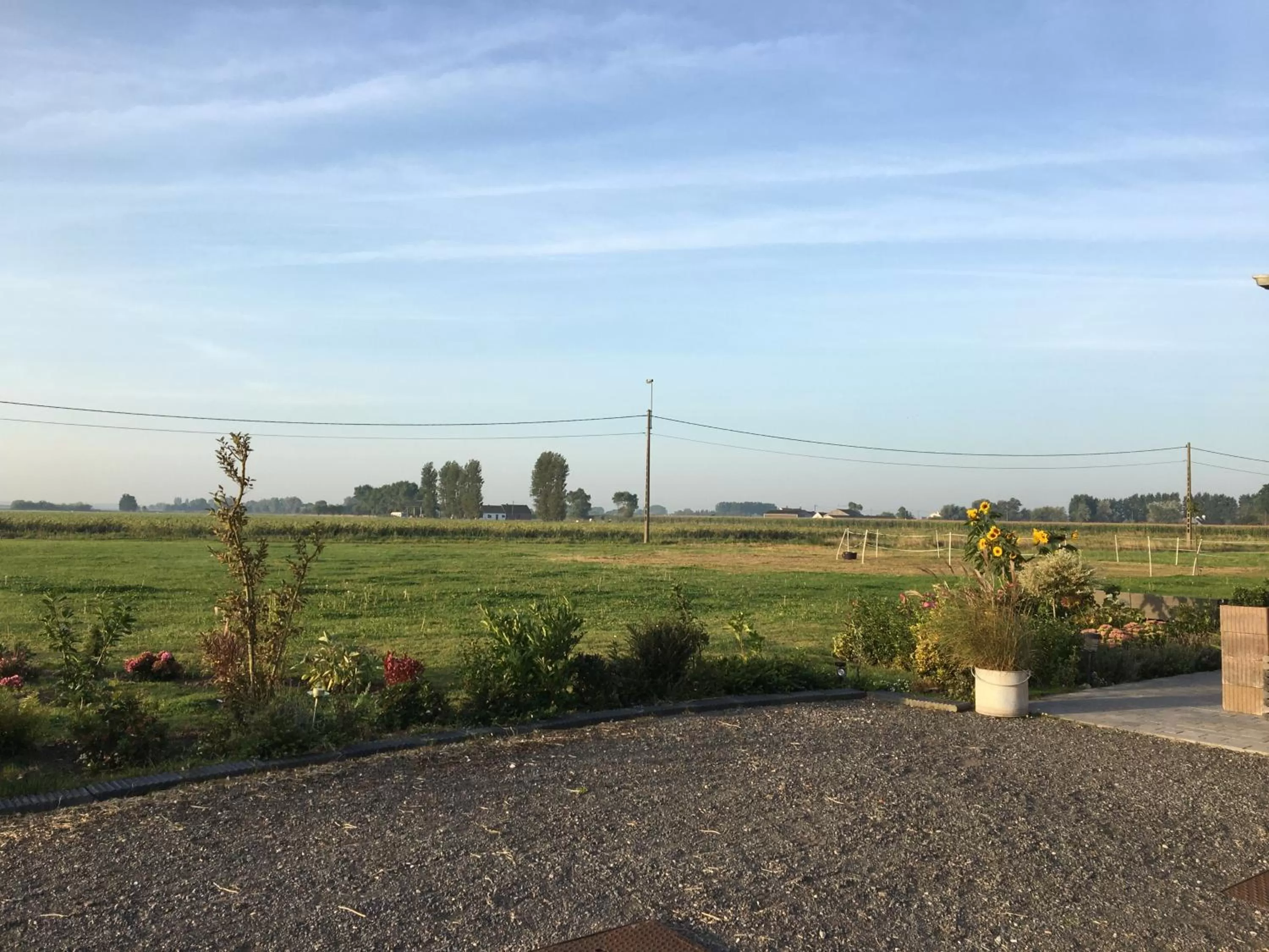 Garden in casa matteo de haan Grote straat 152