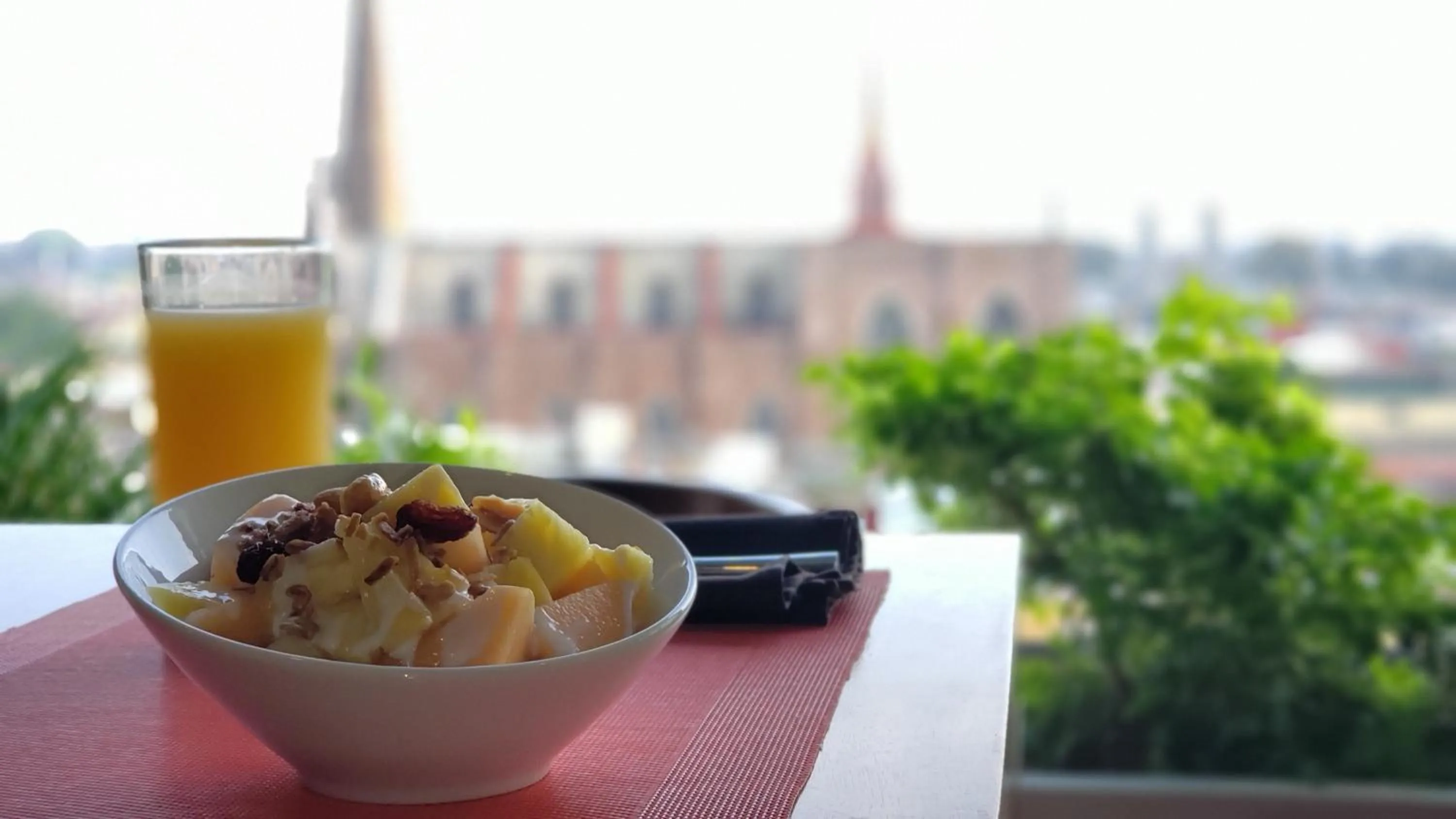 Terrass Hotel Zamora