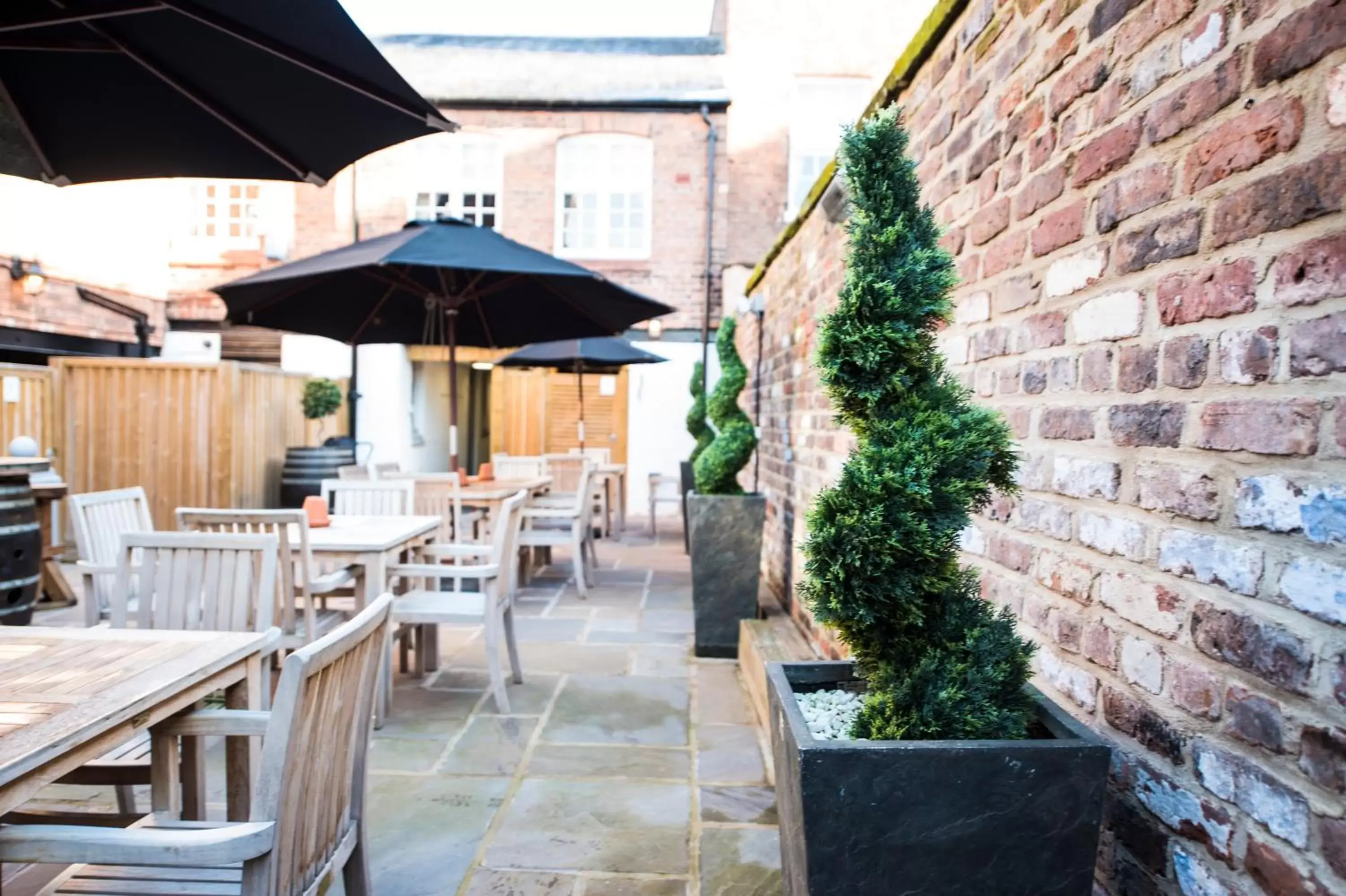 Garden, Restaurant/Places to Eat in The Pied Bull