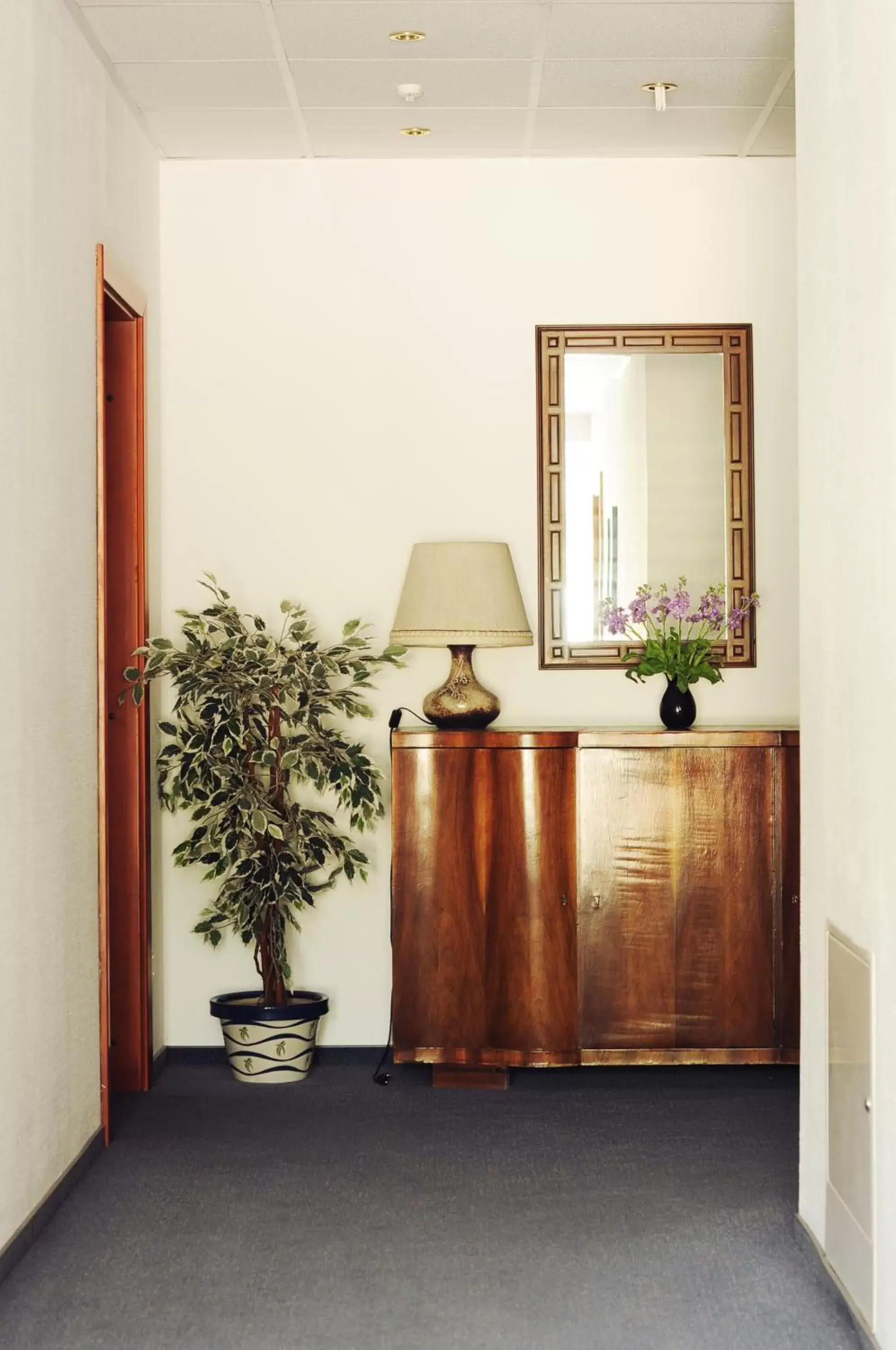 Decorative detail, Lobby/Reception in Amicus Hotel