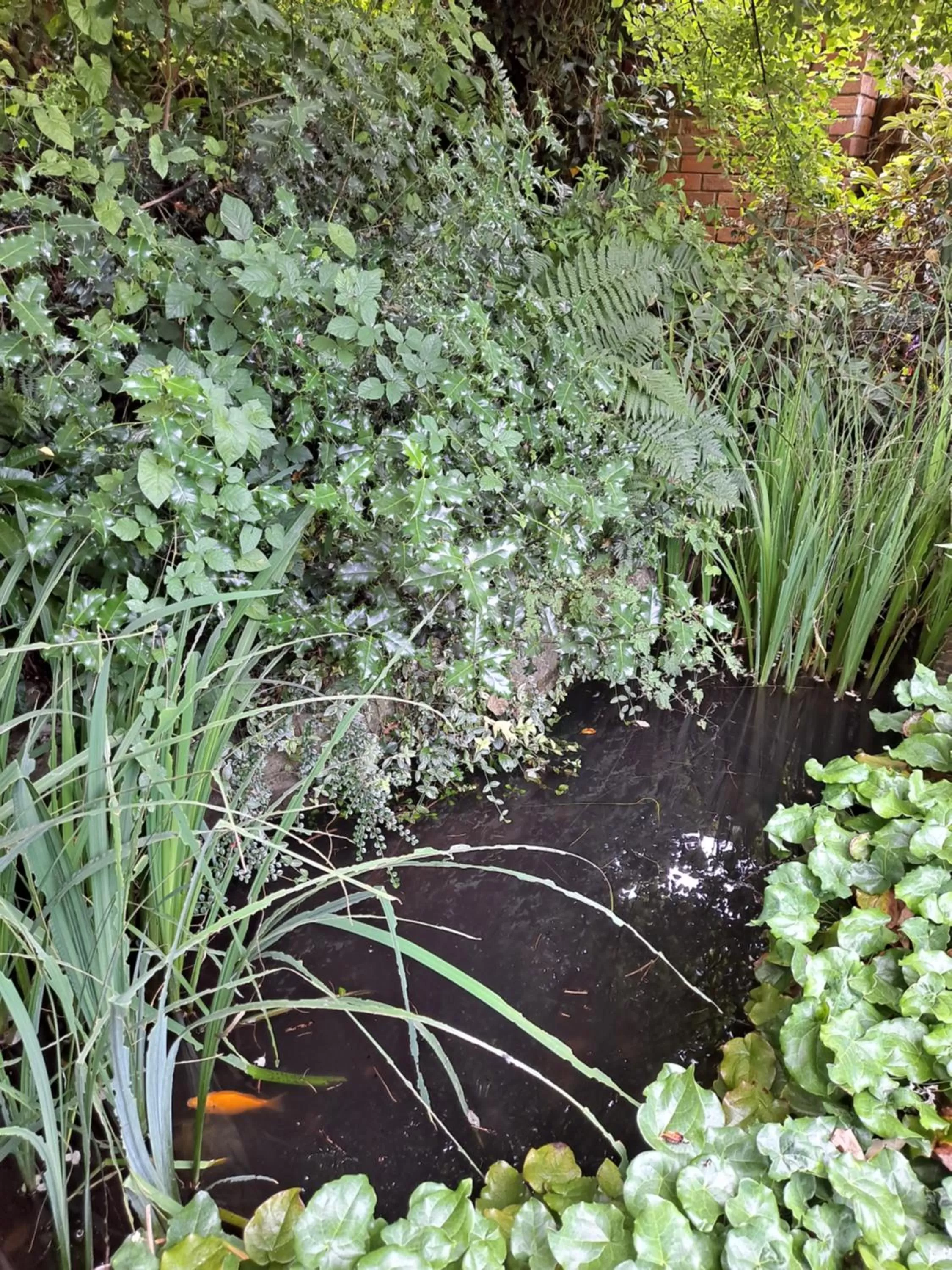 Garden in Pilgrims of the Goddess