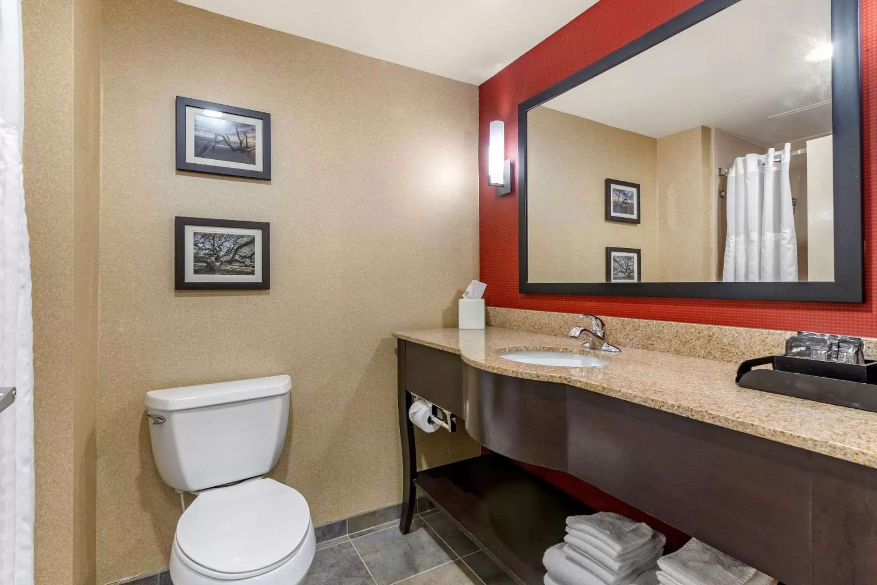 Bathroom in Comfort Suites Florence I-95