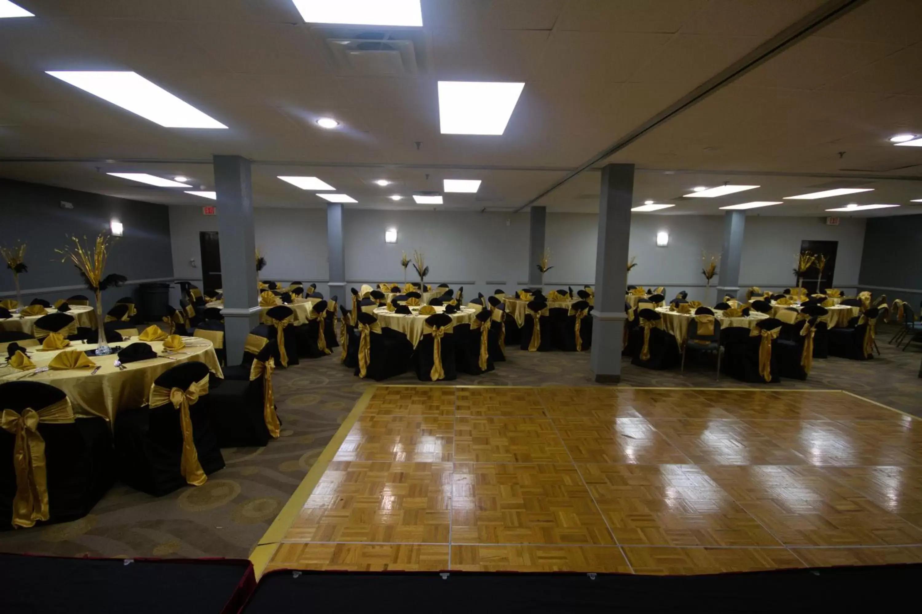 Meeting/conference room, Banquet Facilities in Atrium Hotel and Suites DFW Airport