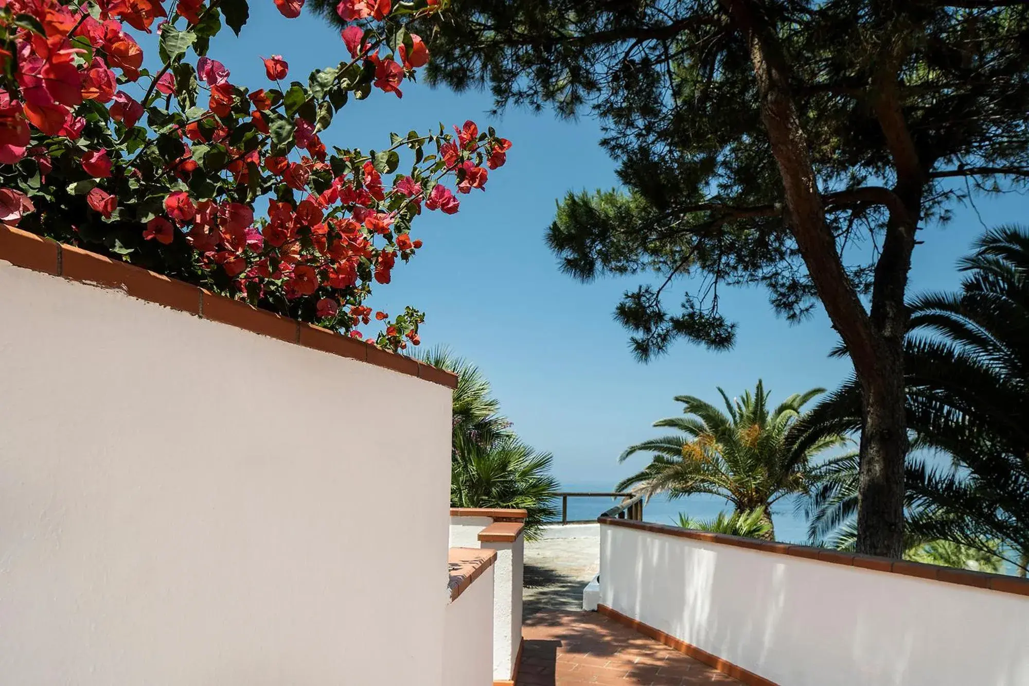 Balcony/Terrace in Hotel Terme Royal Palm