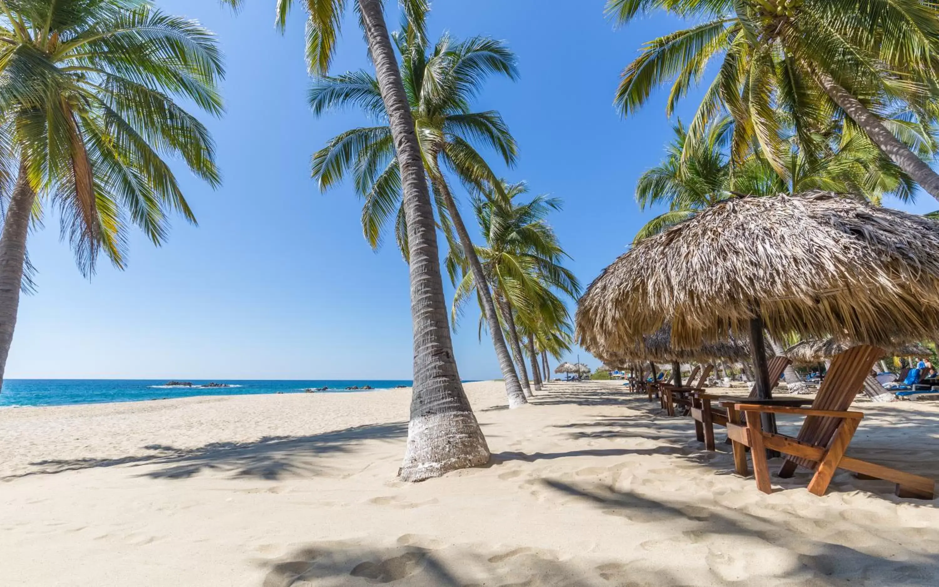 Beach in Posada Real Puerto Escondido