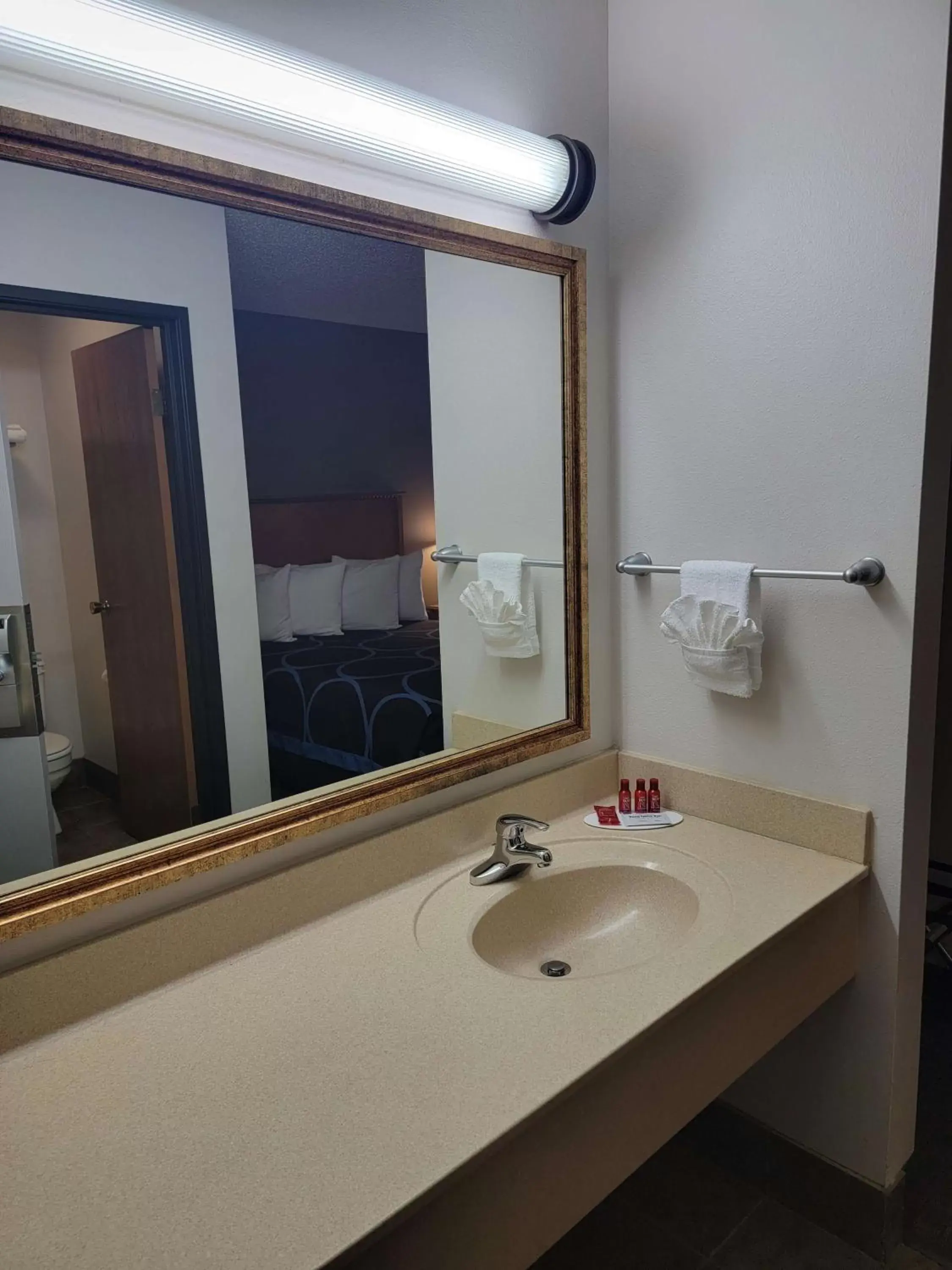 View (from property/room), Bathroom in SureStay Plus Hotel by Best Western Grand Island