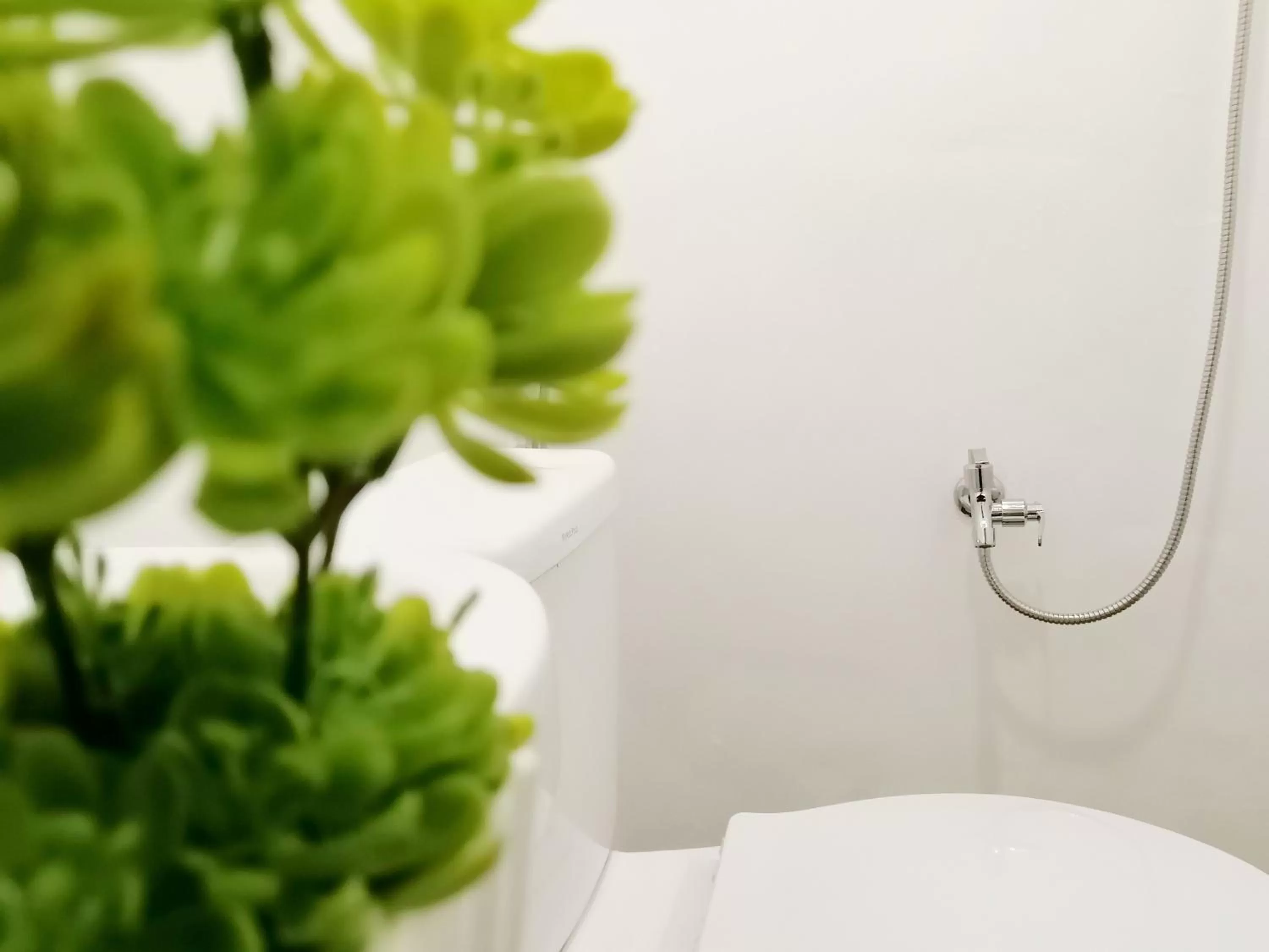 Shower in VG Pension and Residences