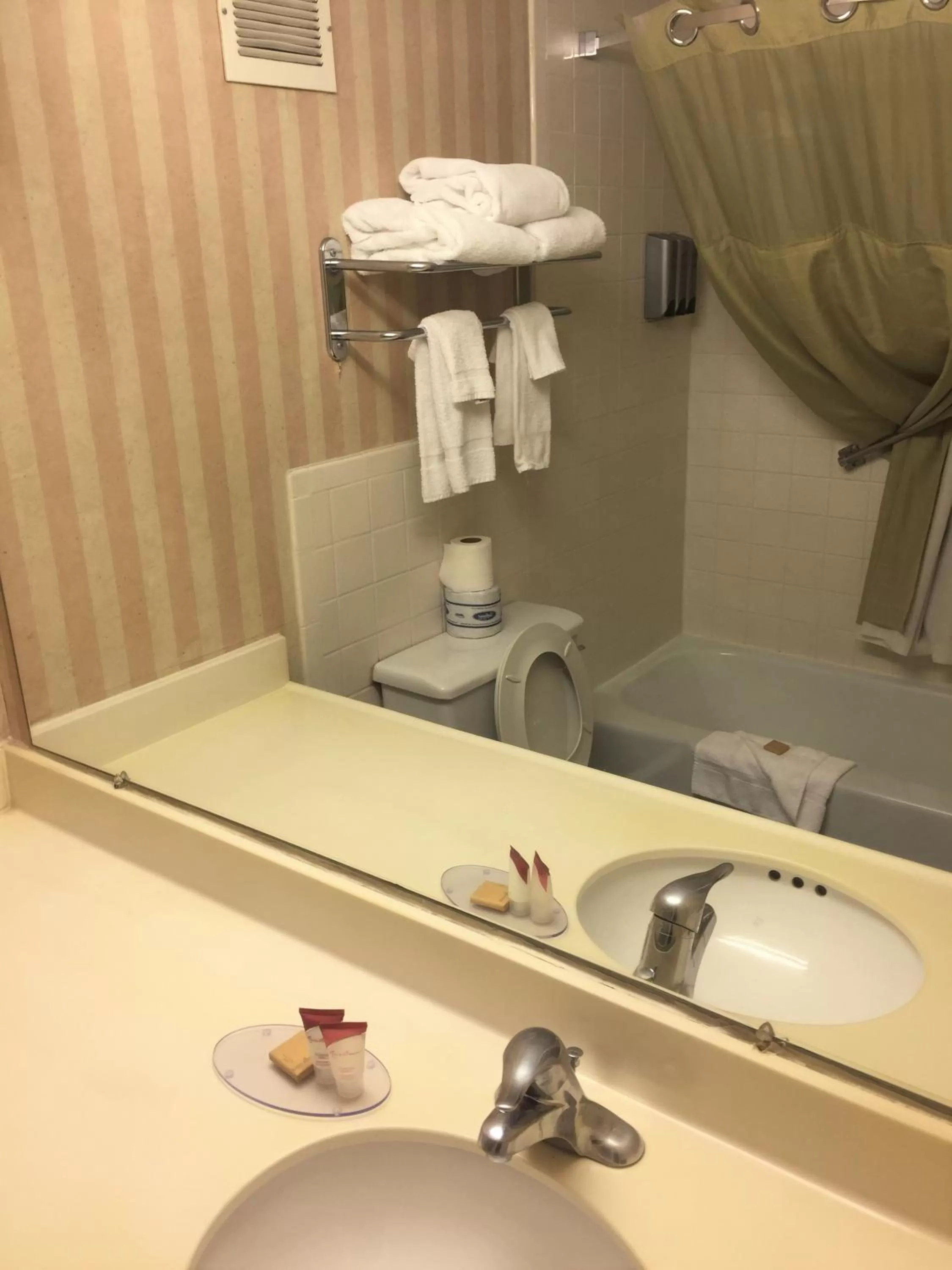 Shower in Americas Best Value Inn & Suites-Boise