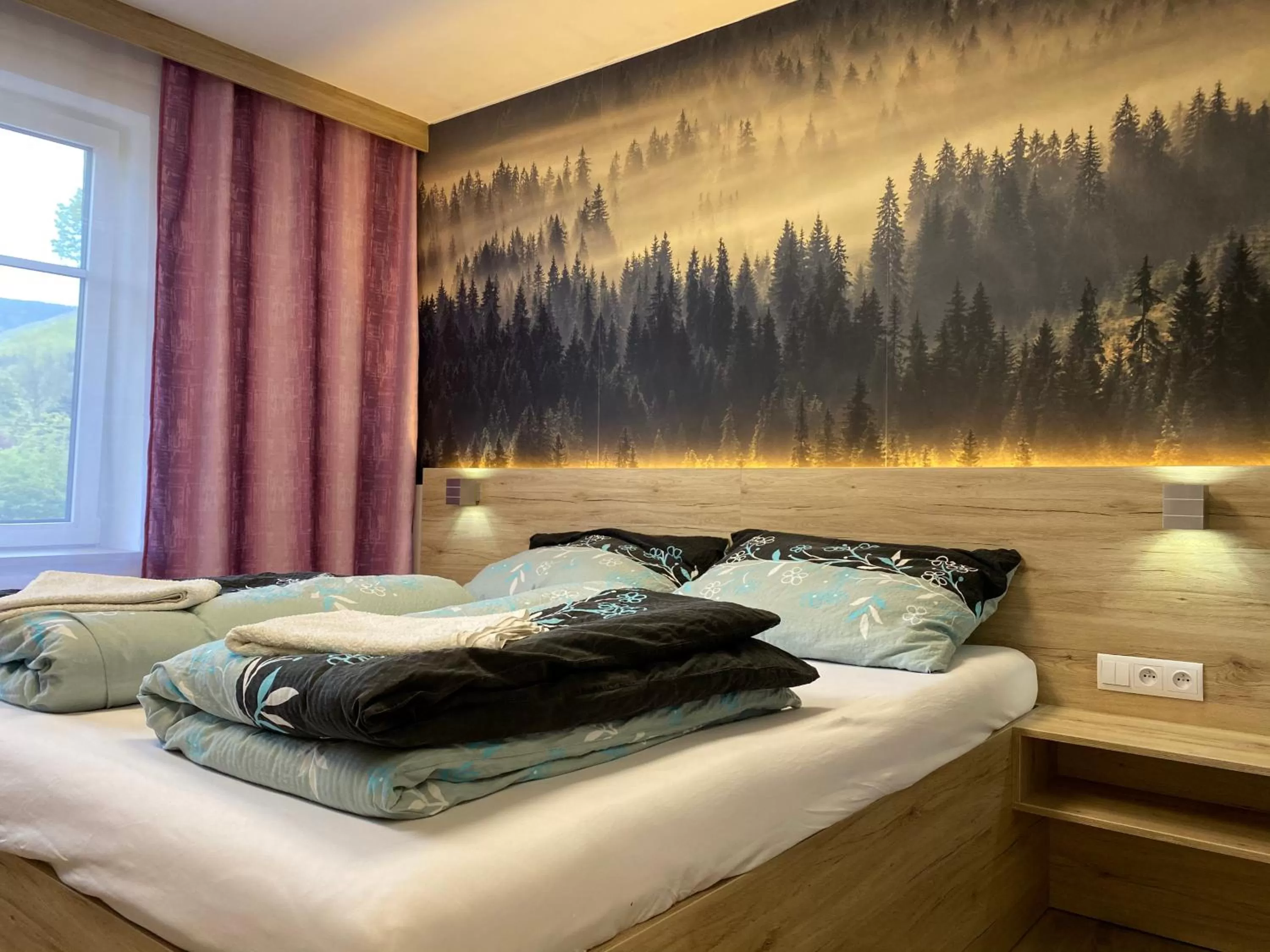 Deluxe Double Room in Hotel U Kociana