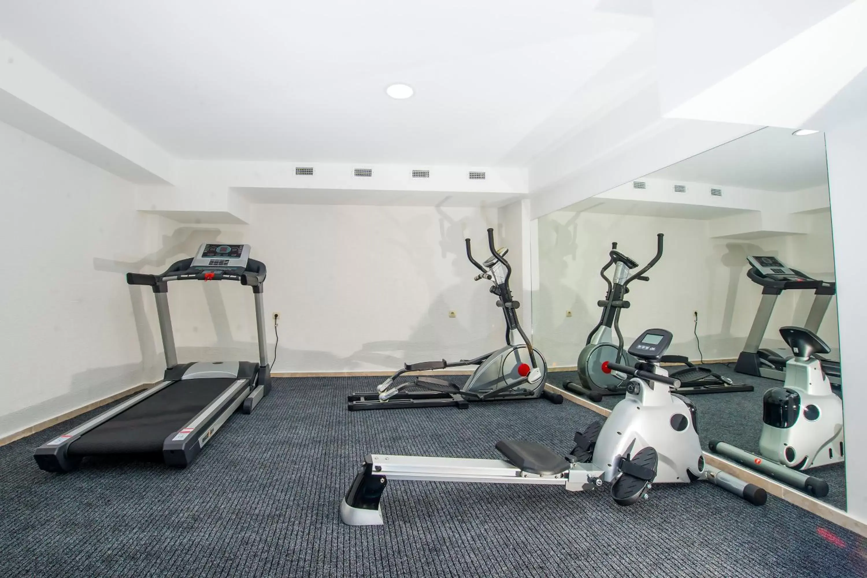 Fitness centre/facilities, Fitness Center/Facilities in Tbilisi Inn