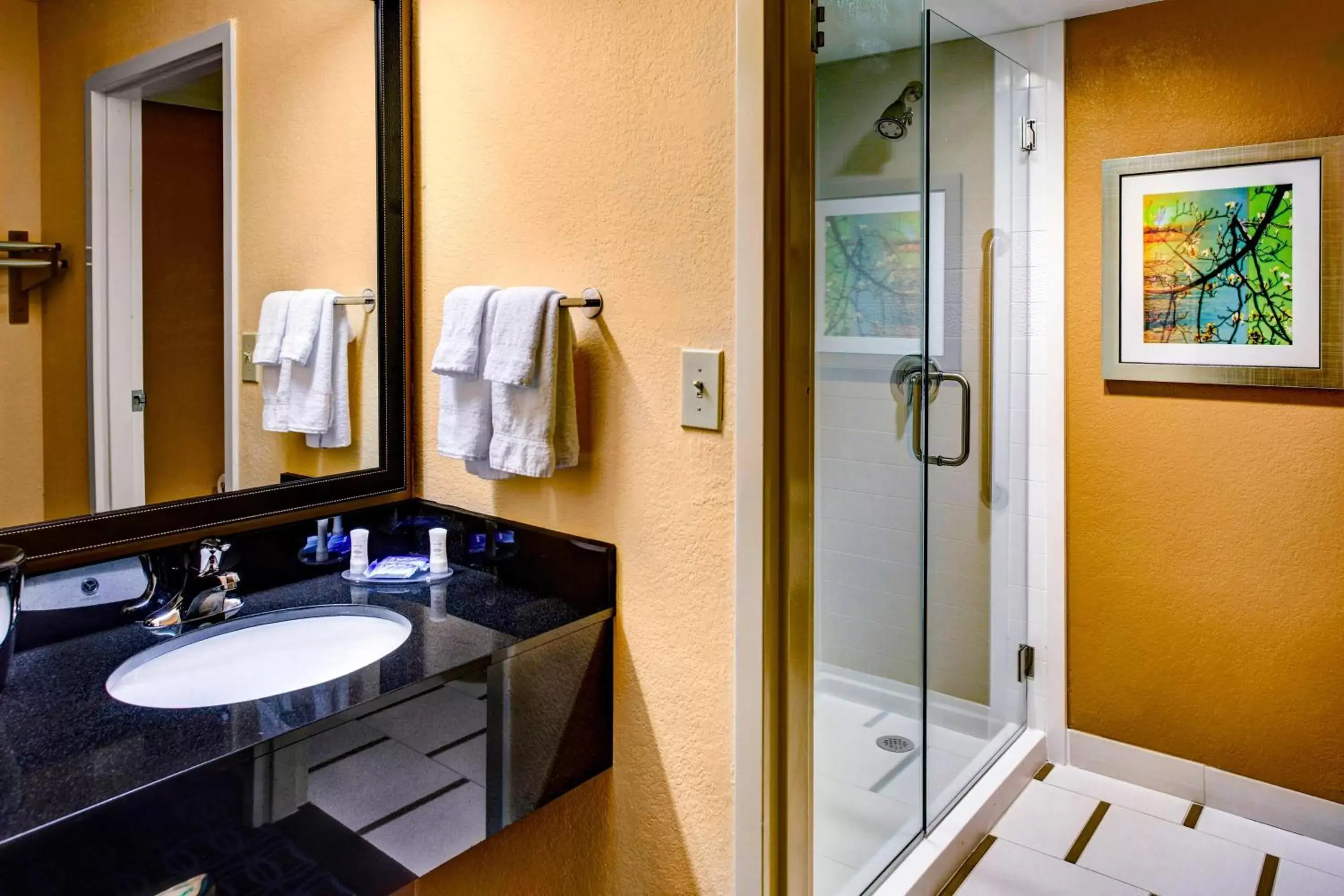 Bathroom in Fairfield Inn and Suites by Marriott Atlanta Suwanee