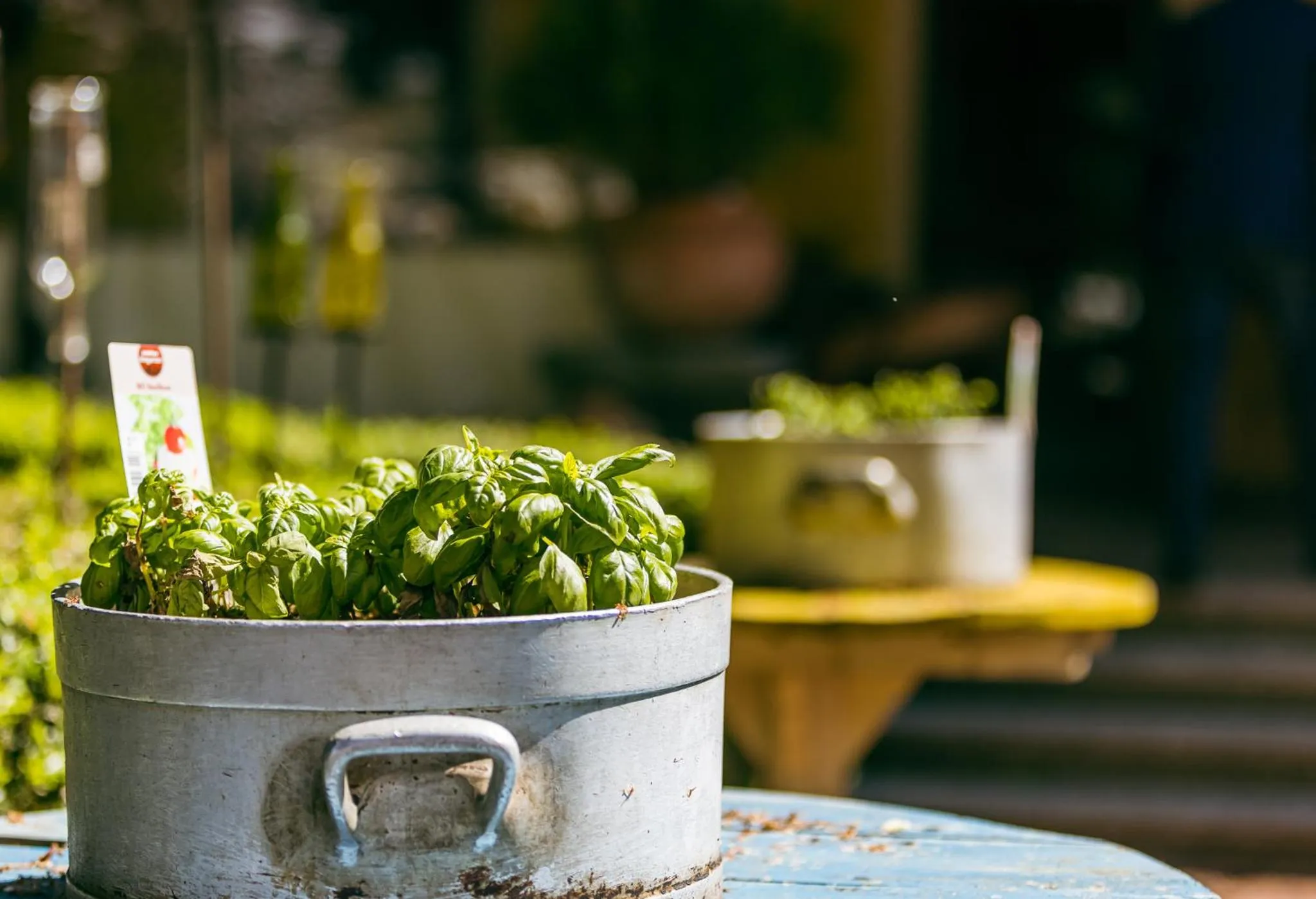 Restaurant/places to eat in Hotel Ertl GmbH