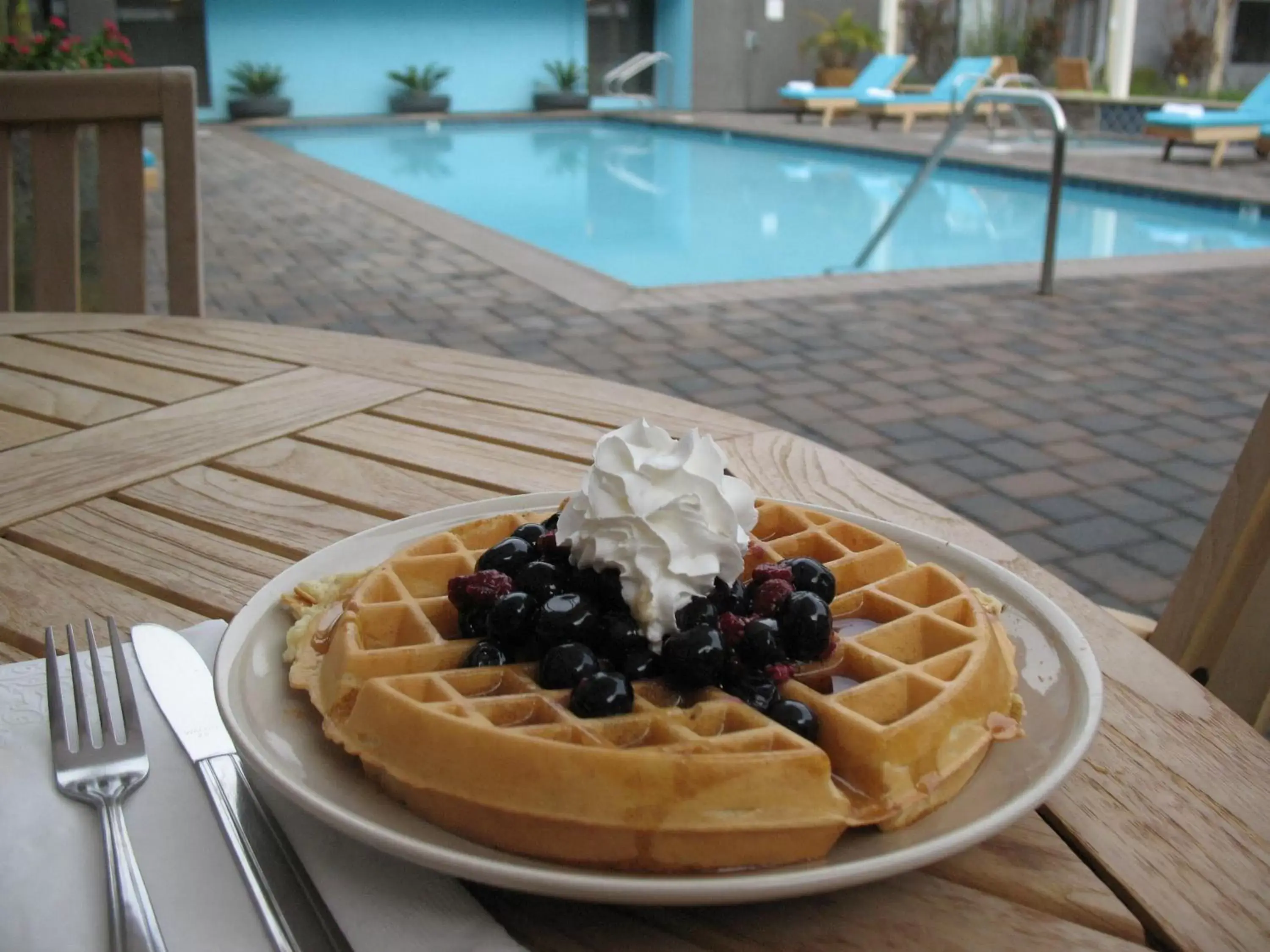 Food, Swimming Pool in Maple Tree Inn