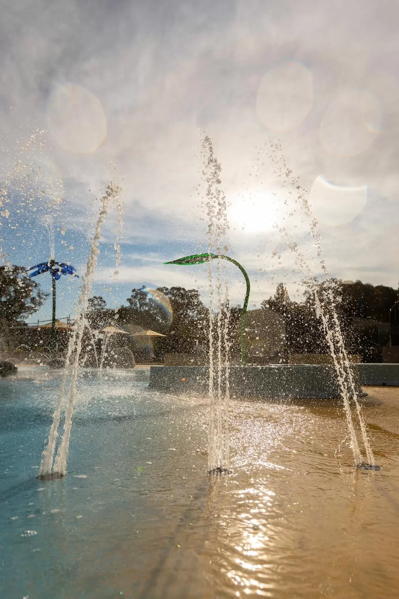 Activities in Alivio Tourist Park Canberra