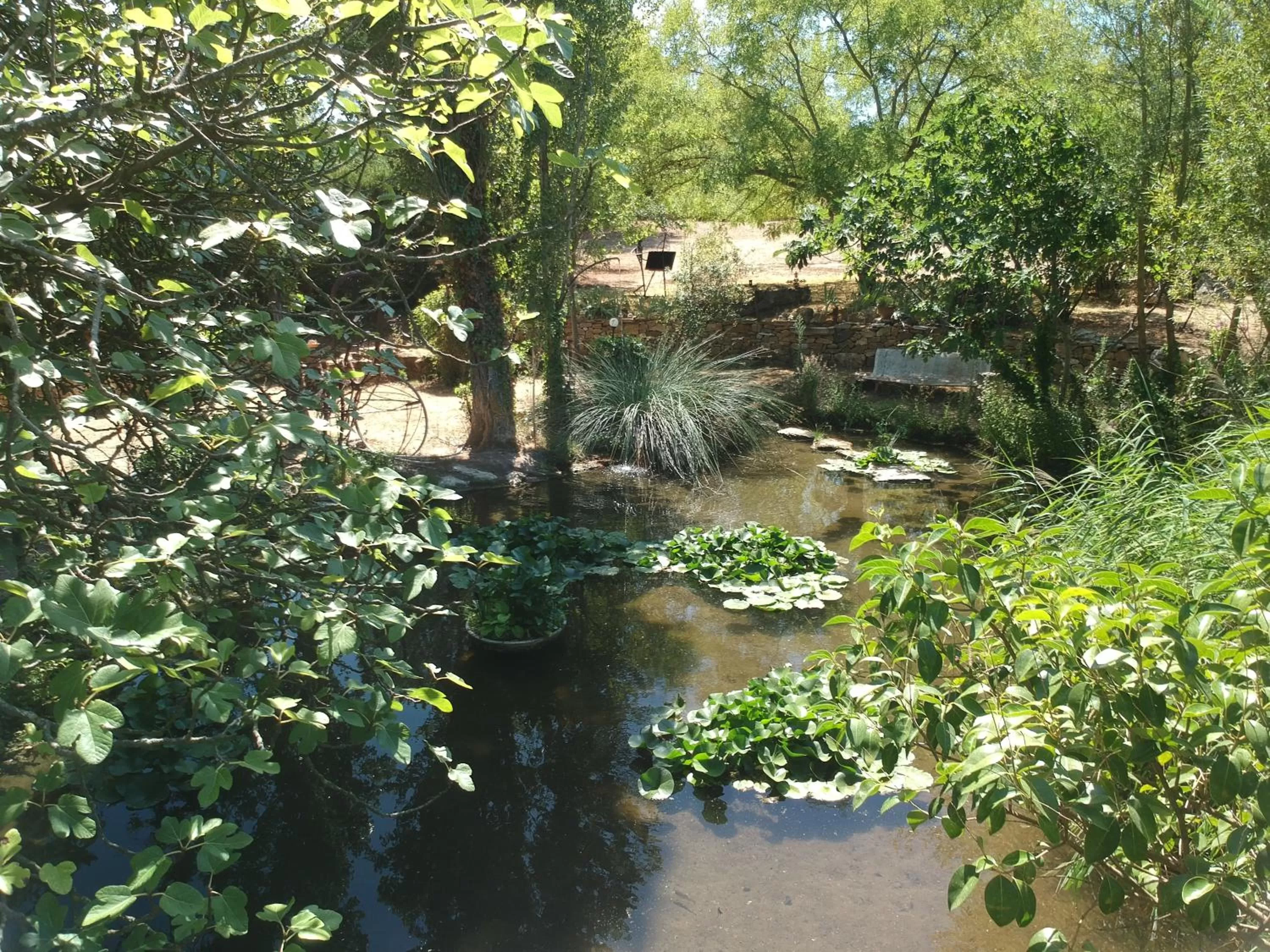 Garden in Le Fer en Cèze