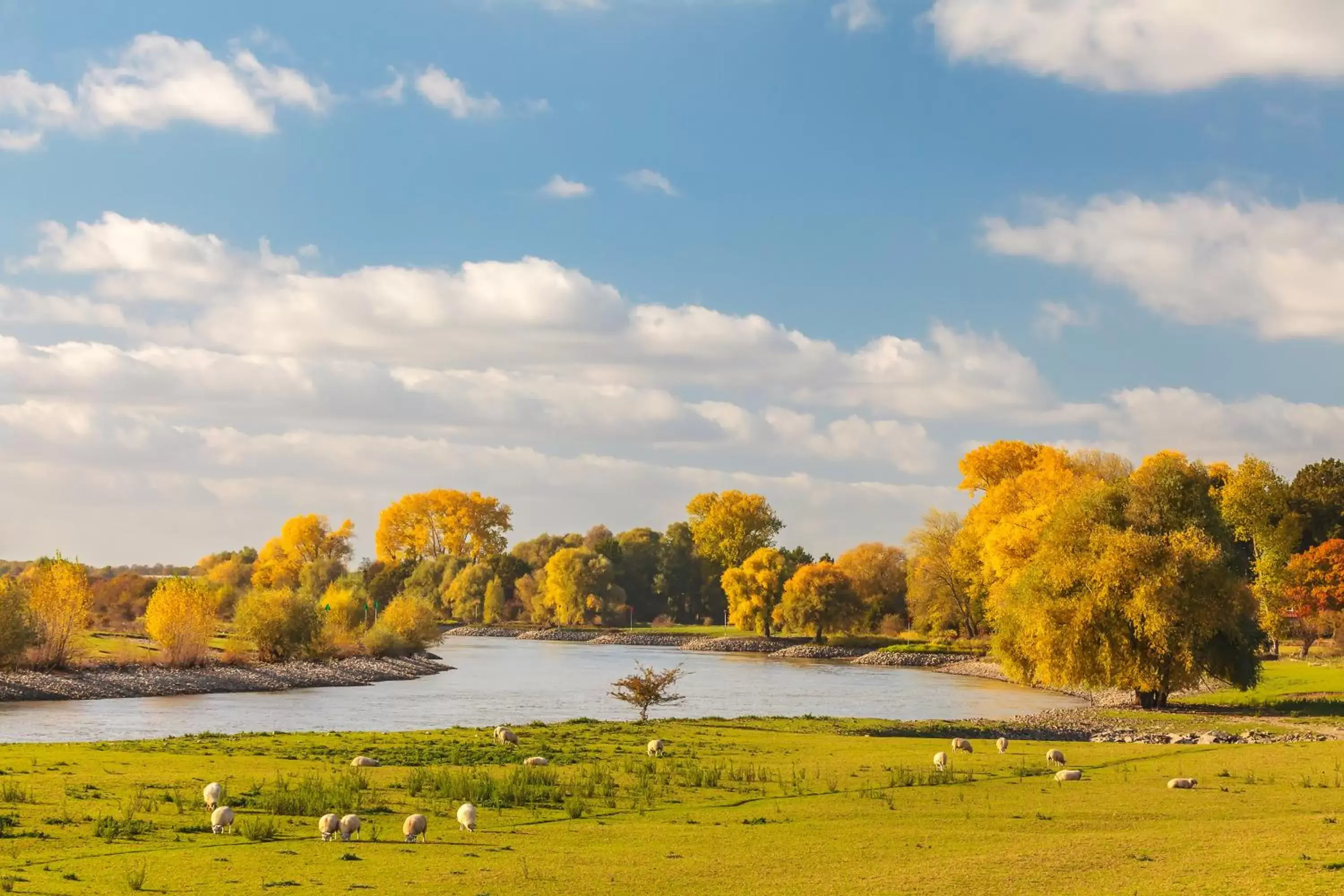 Spring in Fletcher Resort-Hotel Zutphen