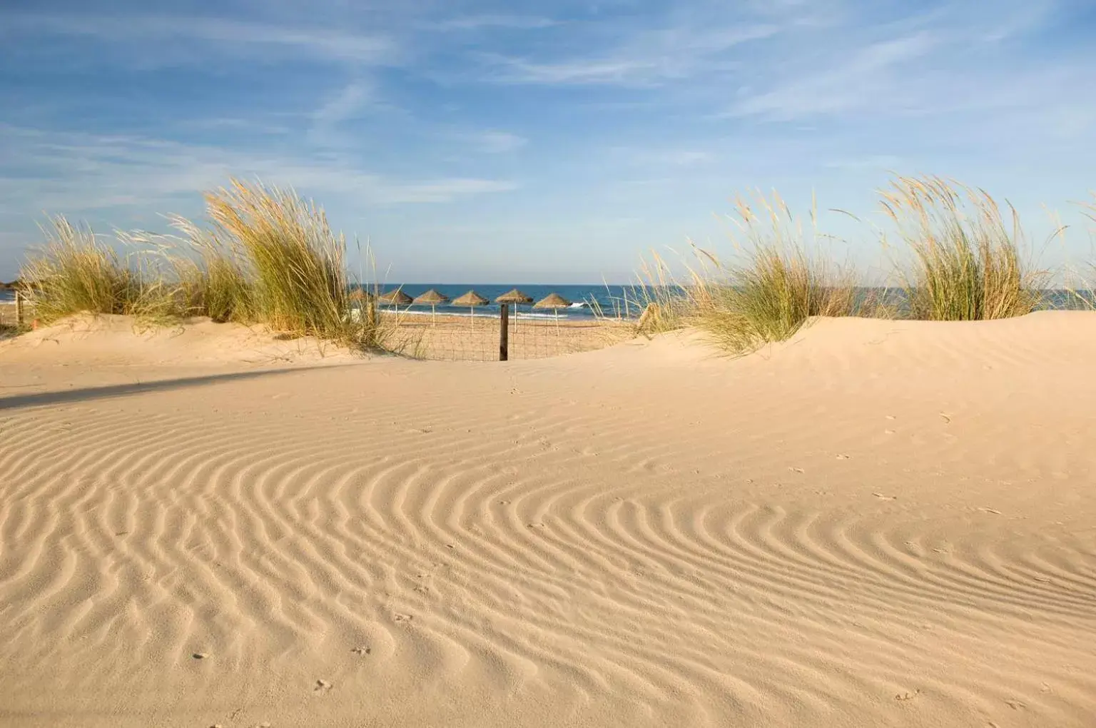 Natural landscape, Beach in Hotel Eden Mar