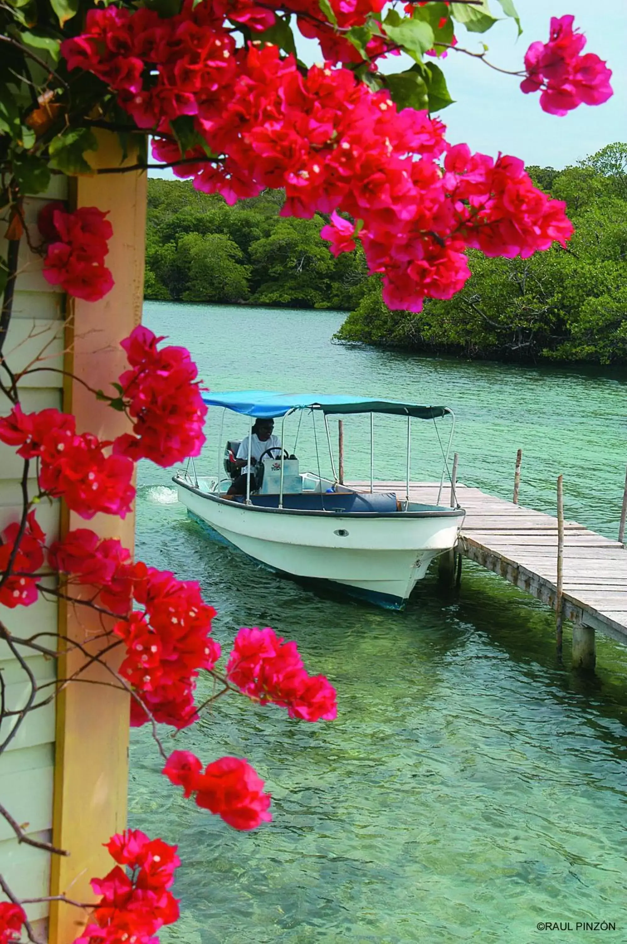 Facade/entrance in Punta Caracol Acqua Lodge Facade/entrance in Punta Caracol Acqua Lodge