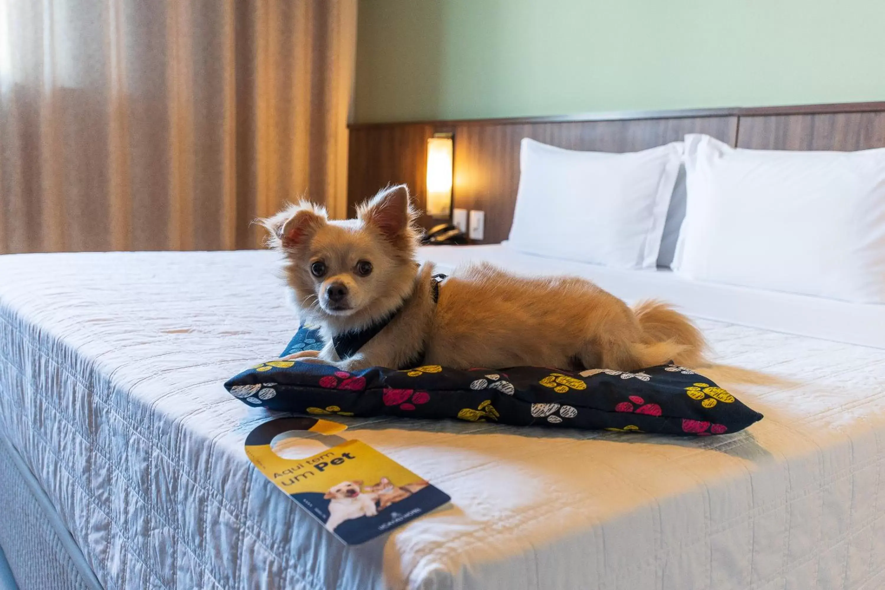 Pets, Bed in Ucayali Hotel Pets, Bed in Ucayali Hotel