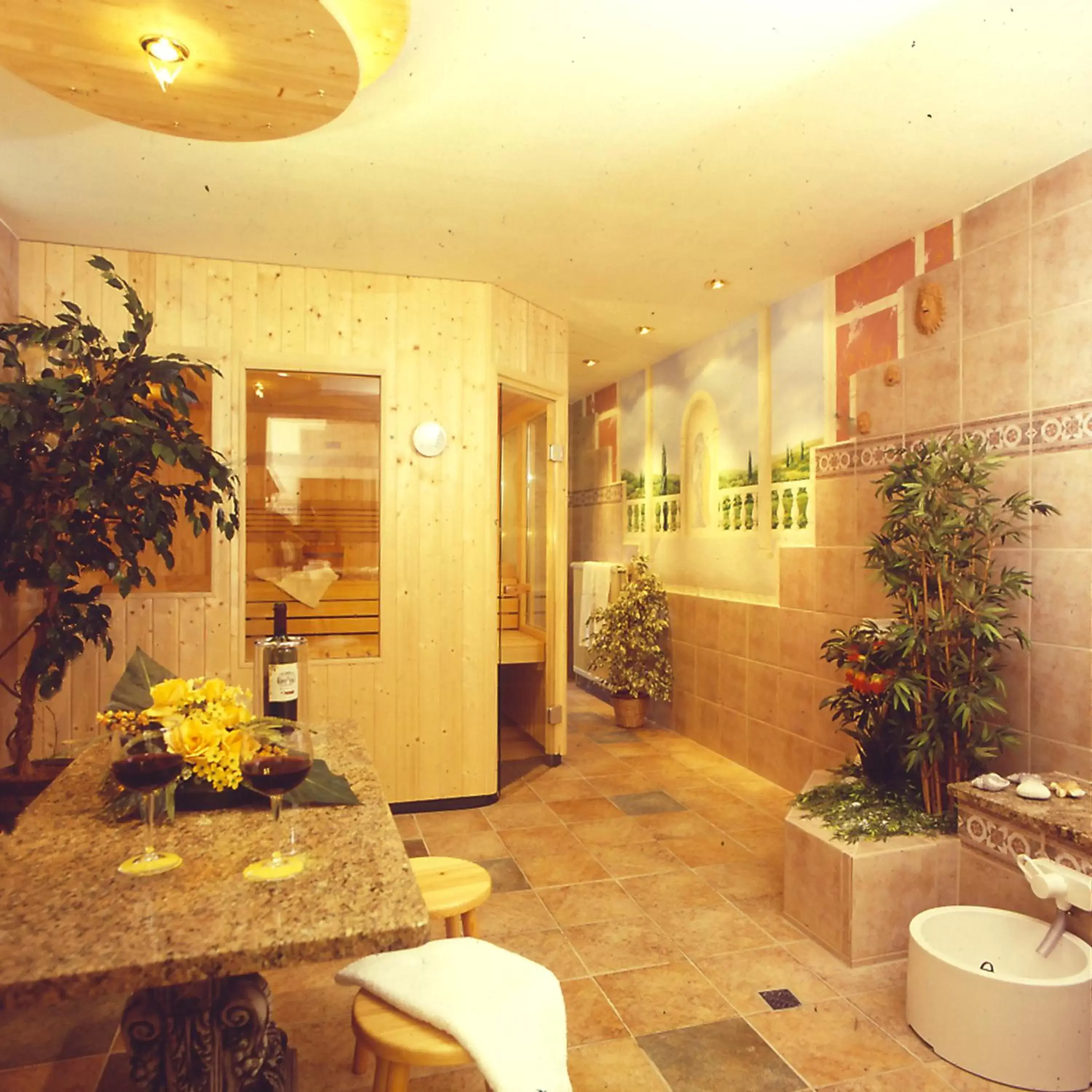 Spa and wellness centre/facilities in Hotel Die Tanne