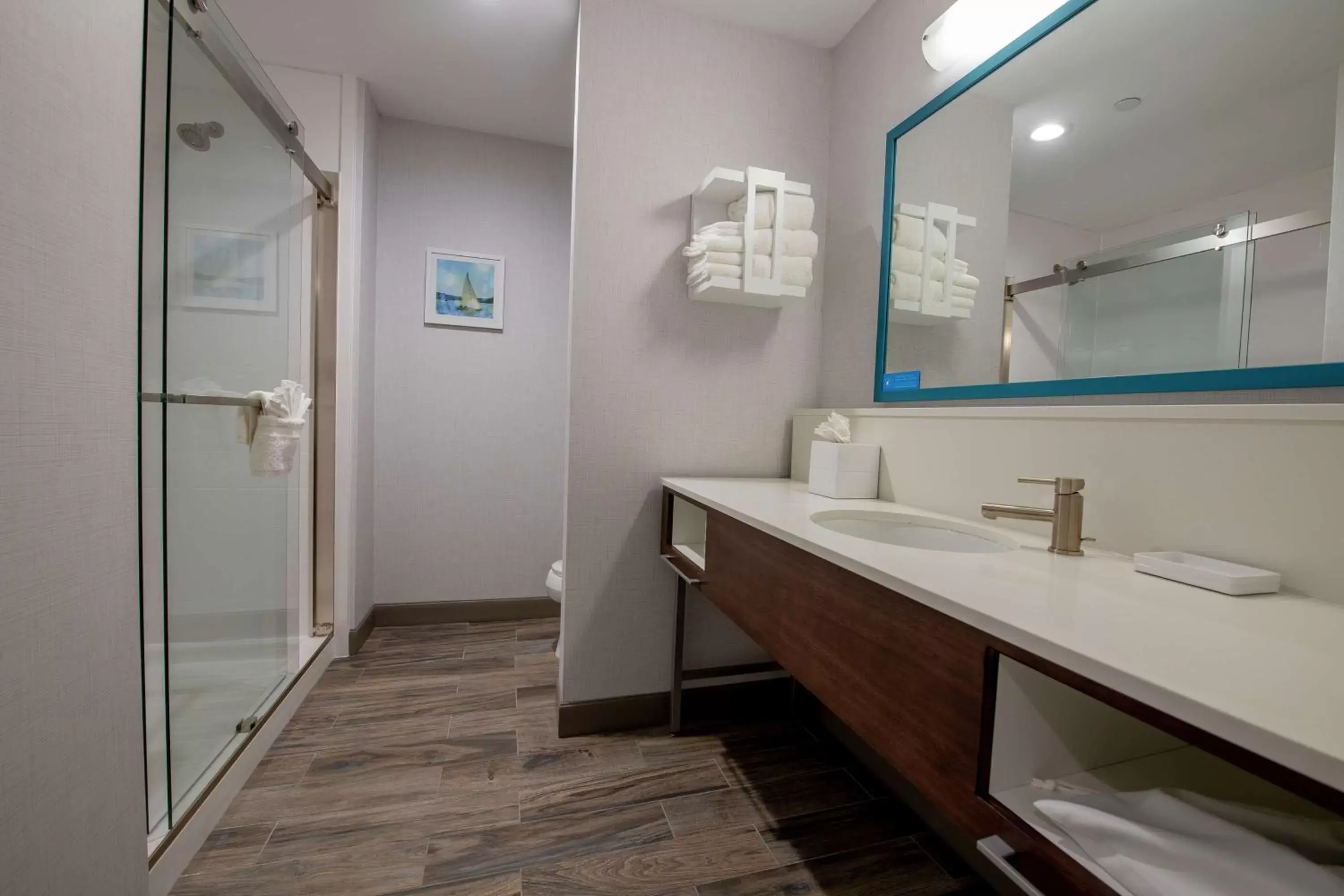 Bathroom in Hampton Inn & Suites Duncanville Dallas, Tx