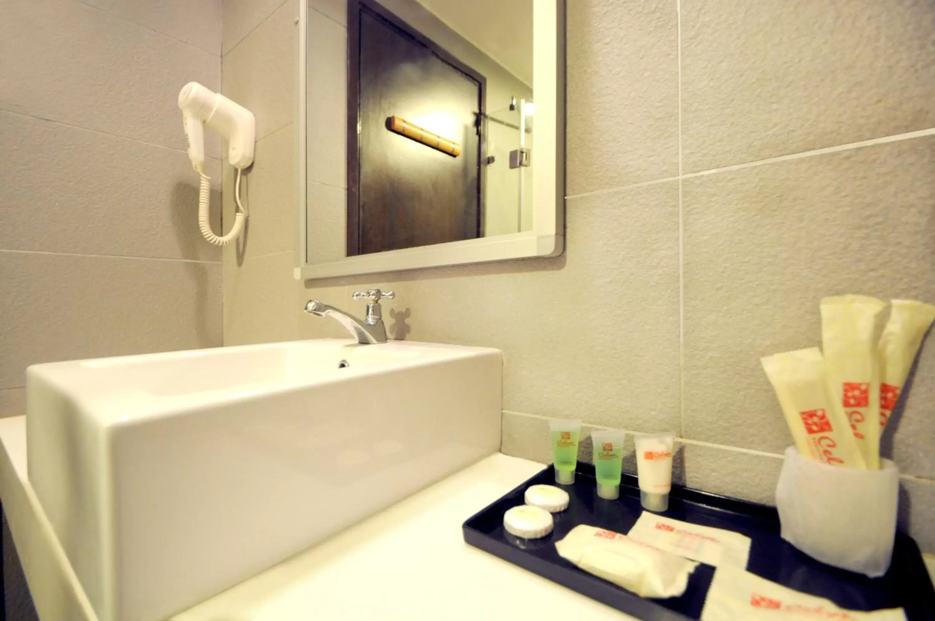 Decorative detail, Bathroom in Celyn City Hotel