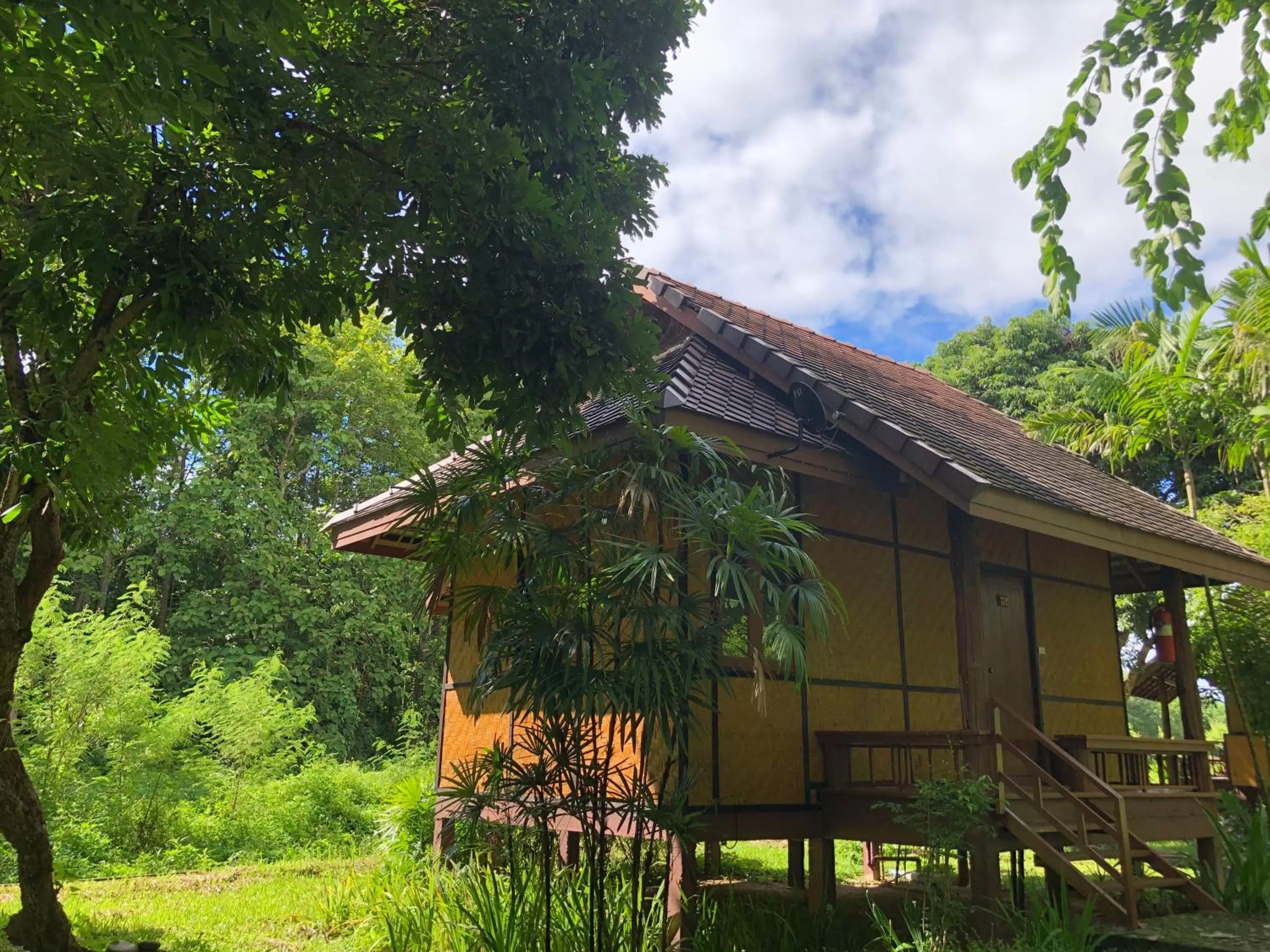 Natural landscape in Baan Krating Pai Resort - SHA Plus