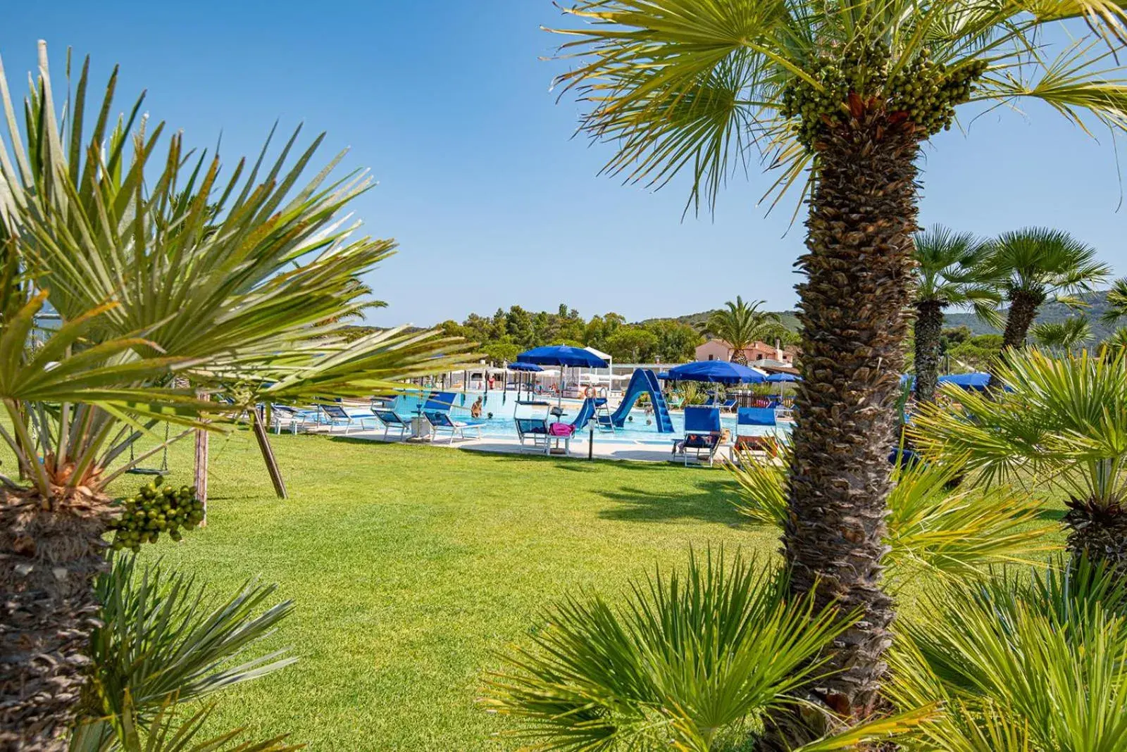 Garden, Swimming Pool in Hotel Airone isola d'Elba