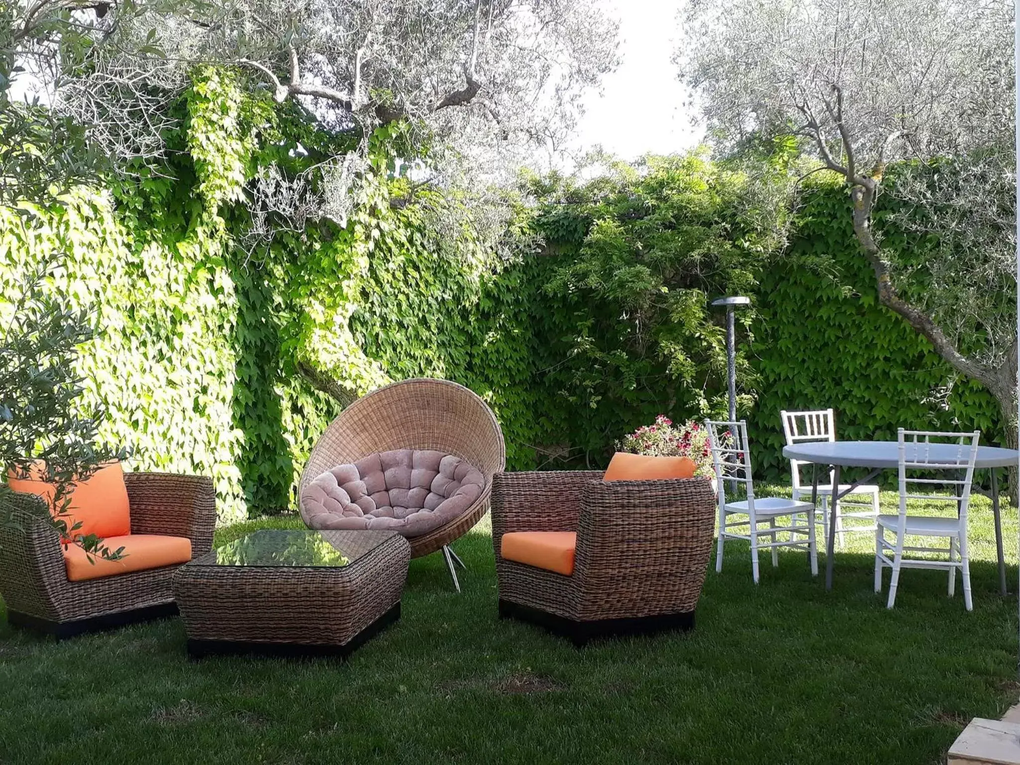 Garden in Hotel Torre Domini