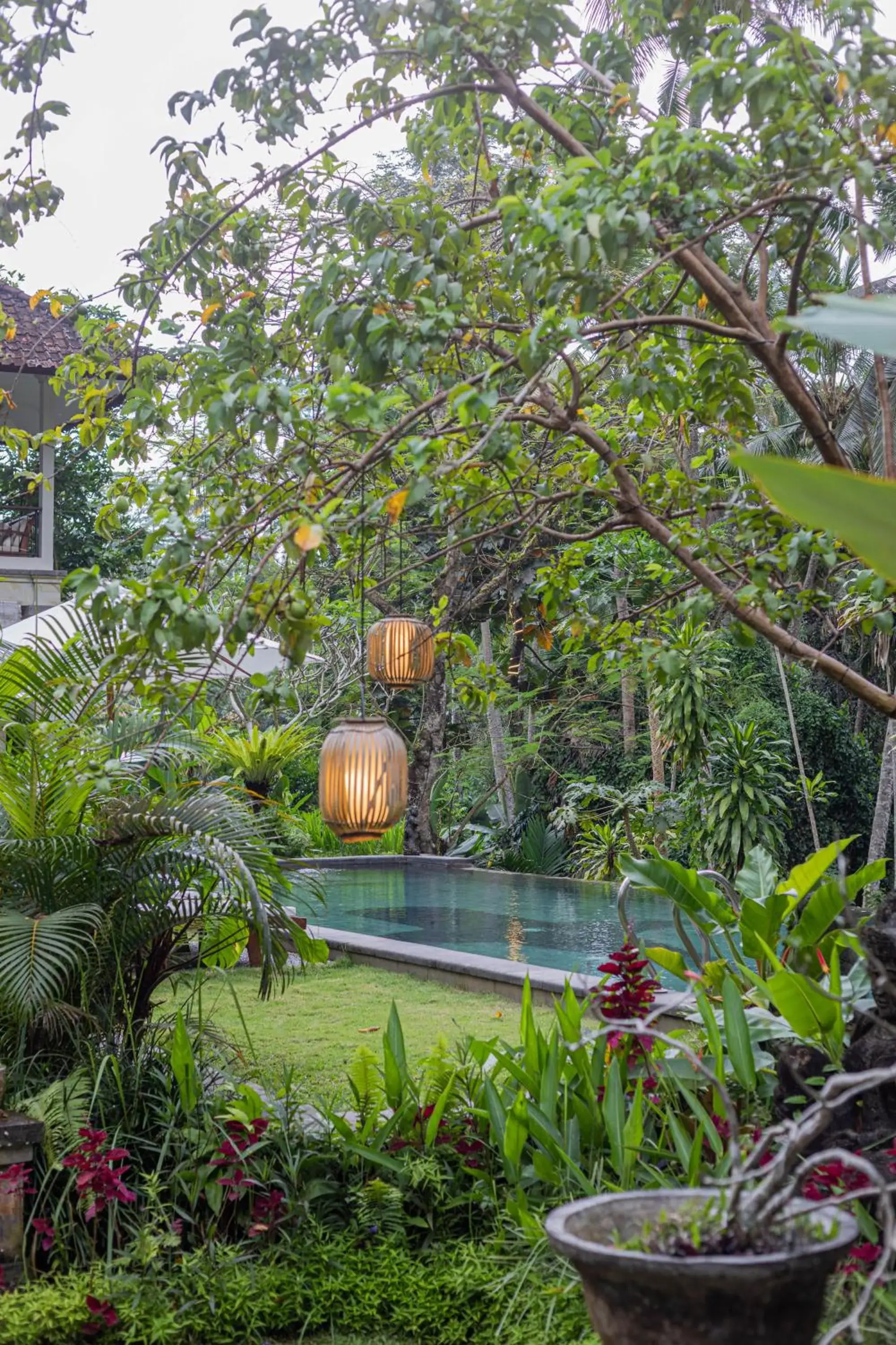 Natural landscape, Swimming Pool in Suara Air Luxury Villa Ubud