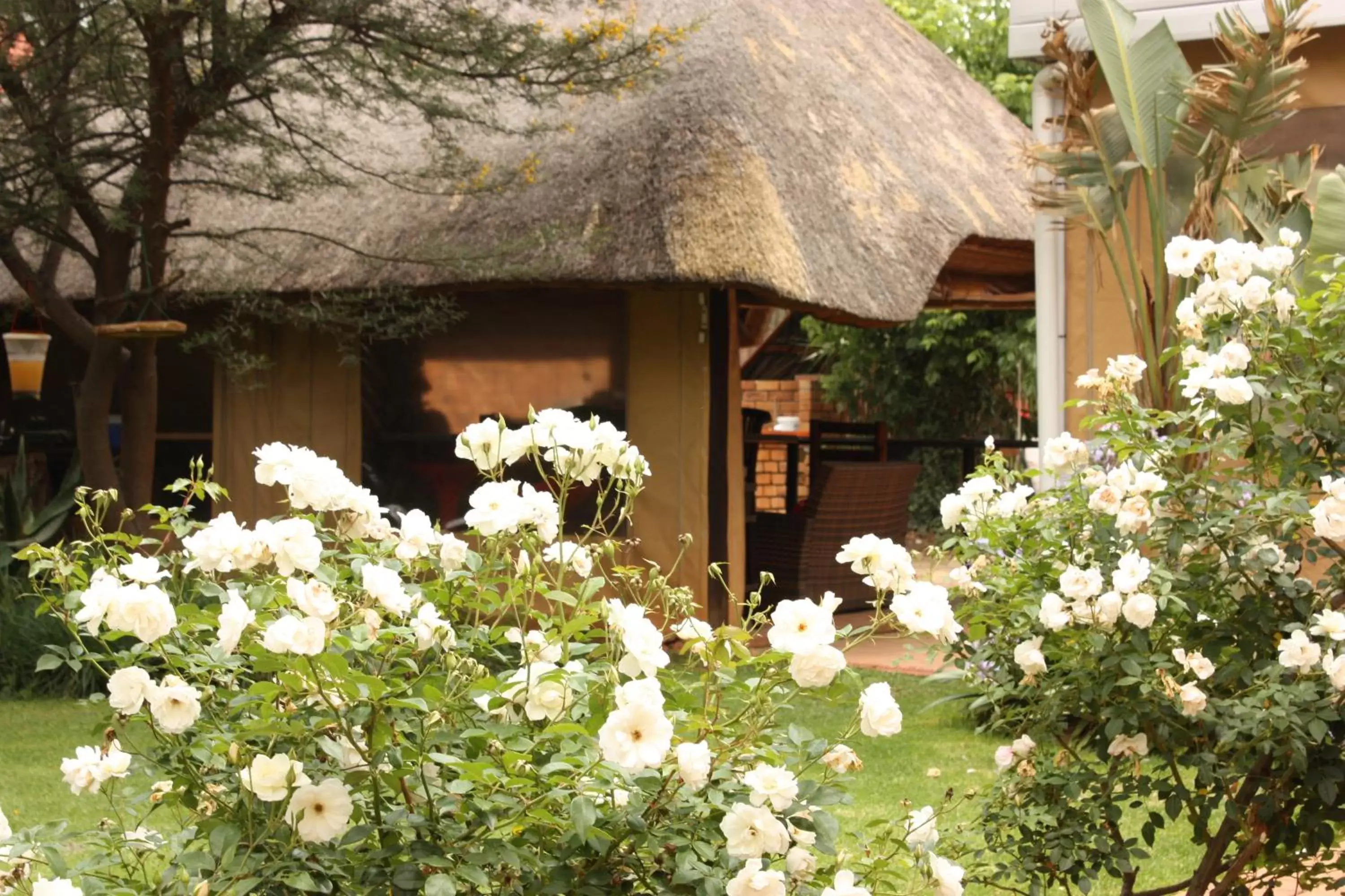 Garden, Patio/Outdoor Area in 3 Brothers B&B