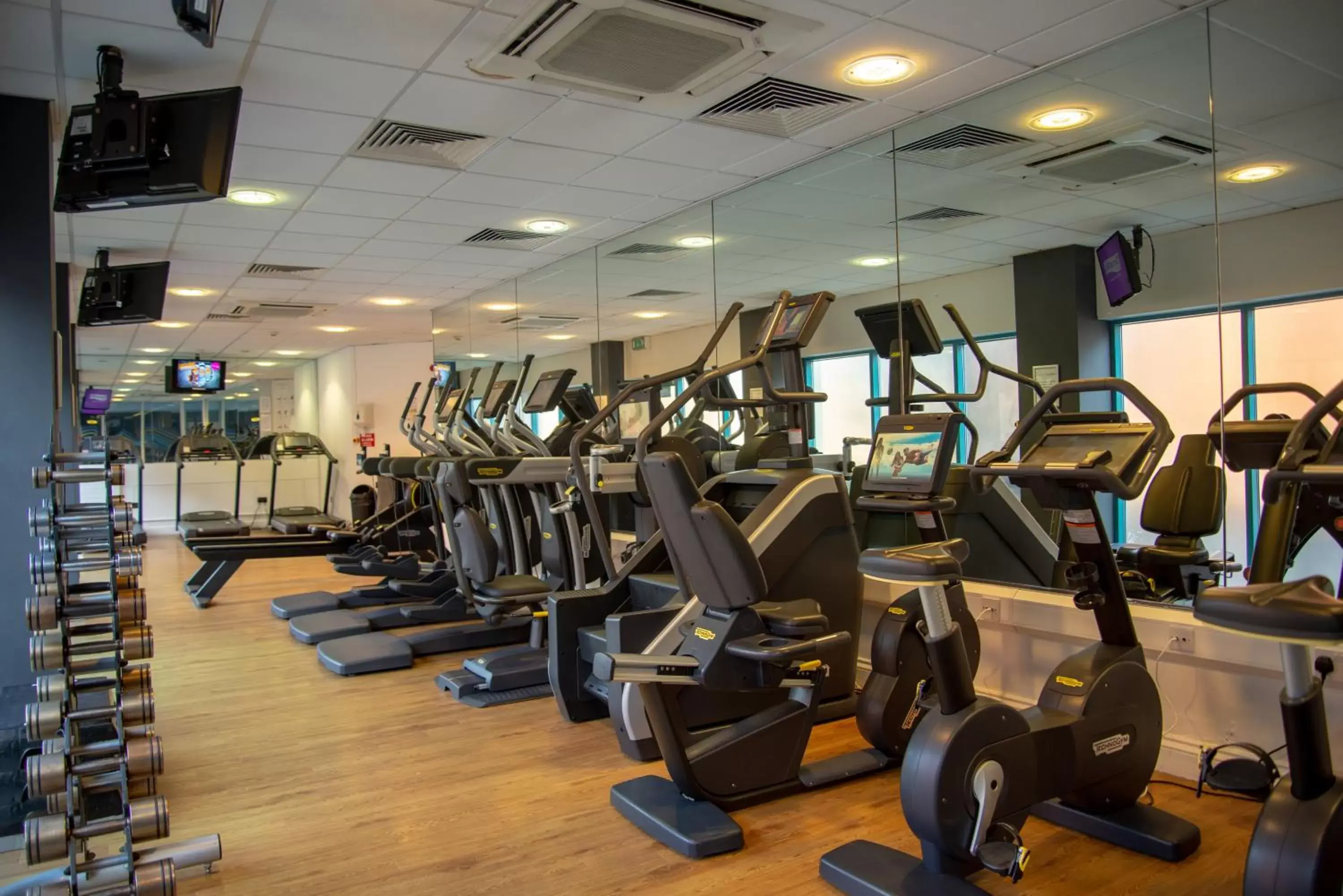 Day, Fitness Center/Facilities in Novotel Cardiff Centre