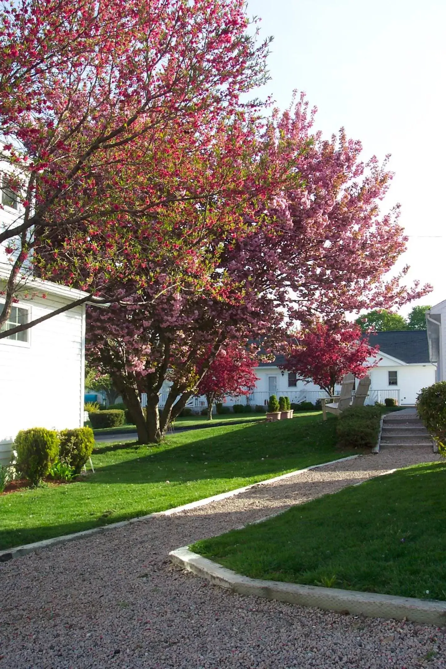 Garden in Taber Inn