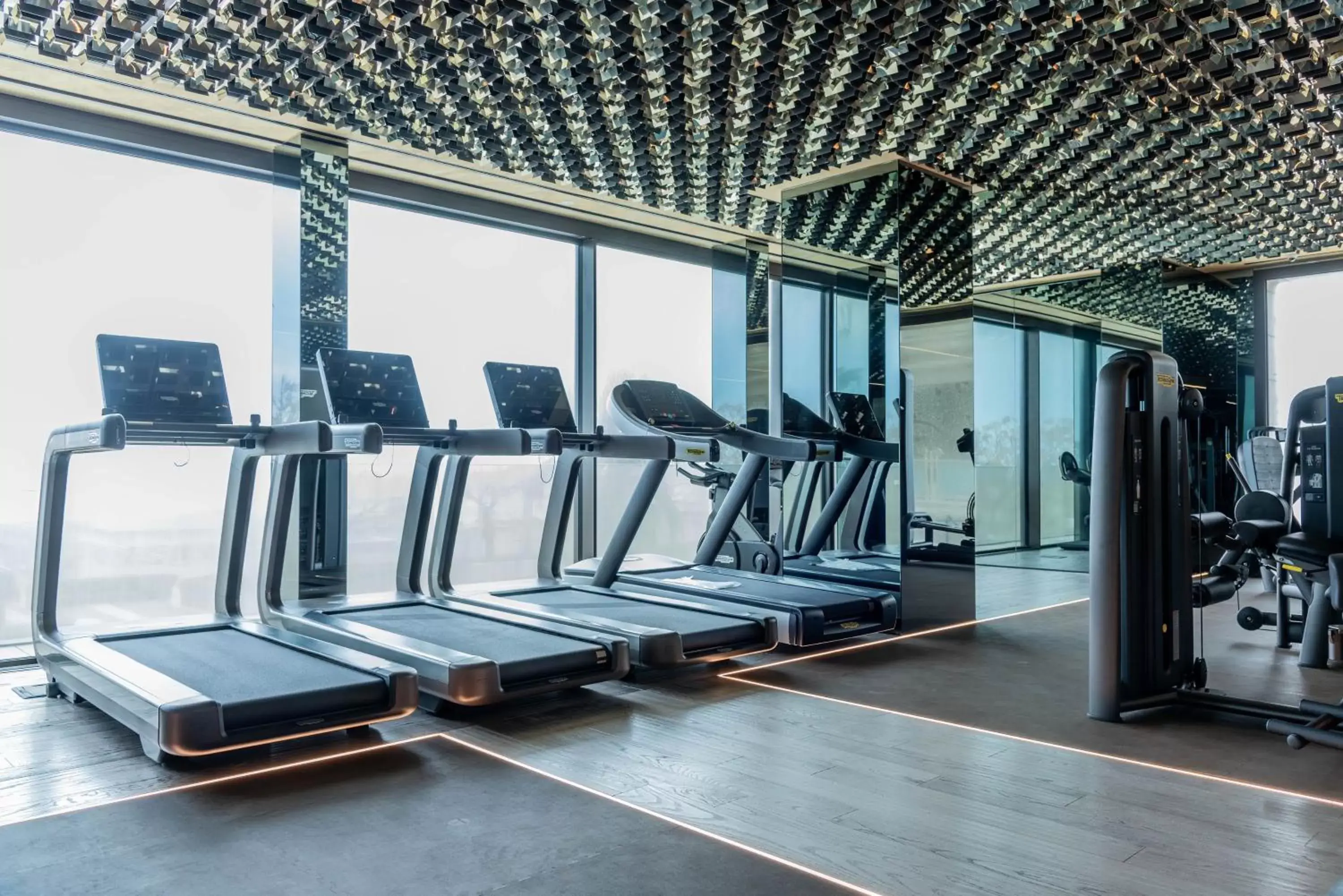 Fitness Center/Facilities in The Promenade Luxury Wellness Hotel