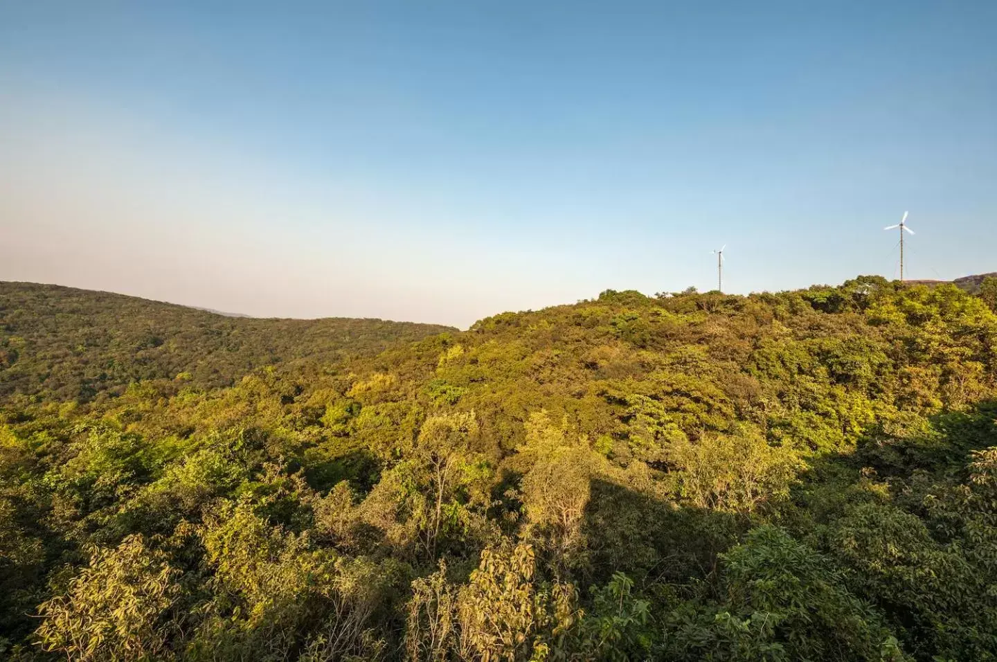 Mountain view in The Machan Mountain view in The Machan