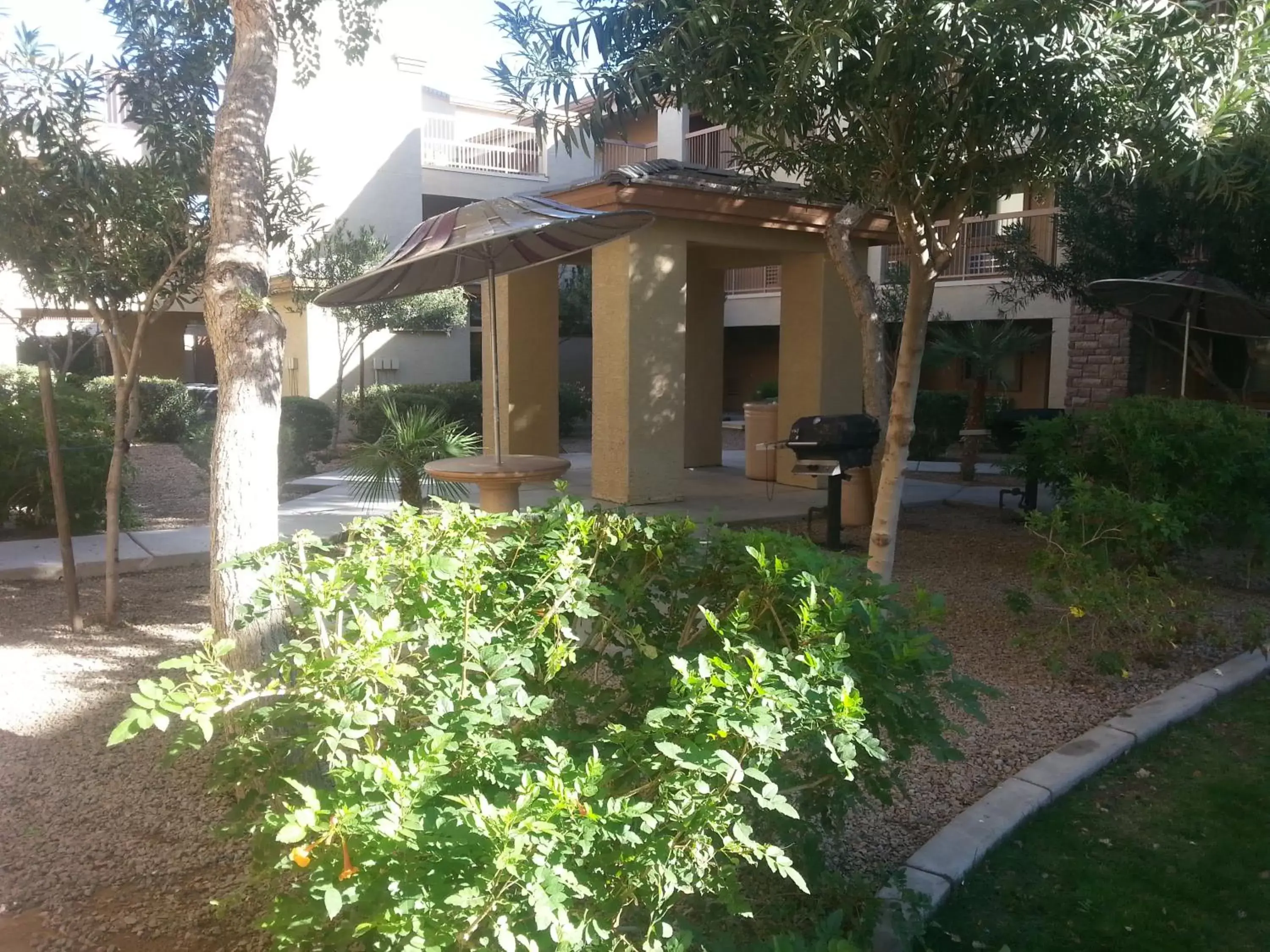 BBQ facilities in Siegel Select Casa Grande BBQ facilities in Siegel Select Casa Grande