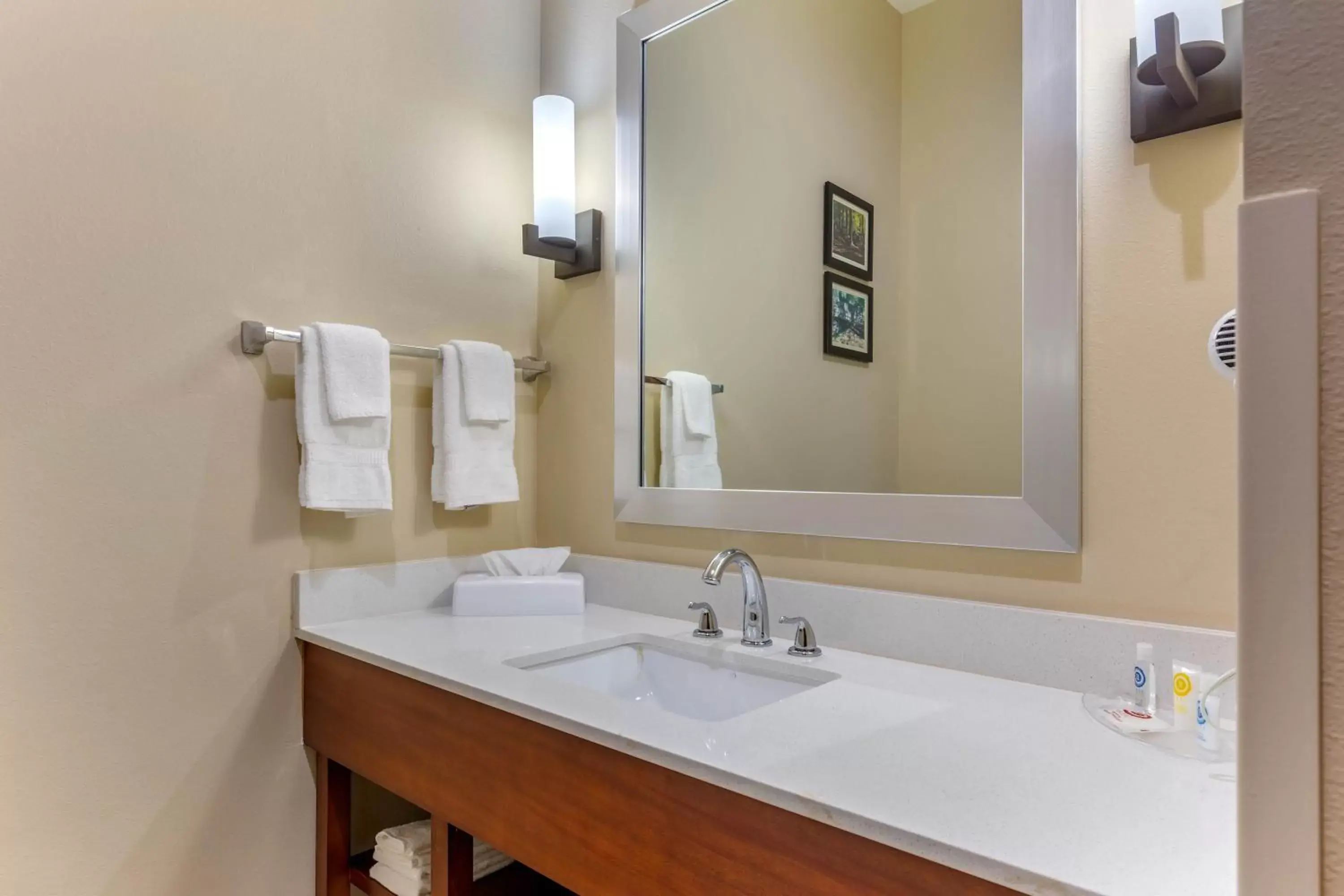 King Room - Non-Smoking in Comfort Suites Greensboro-High Point