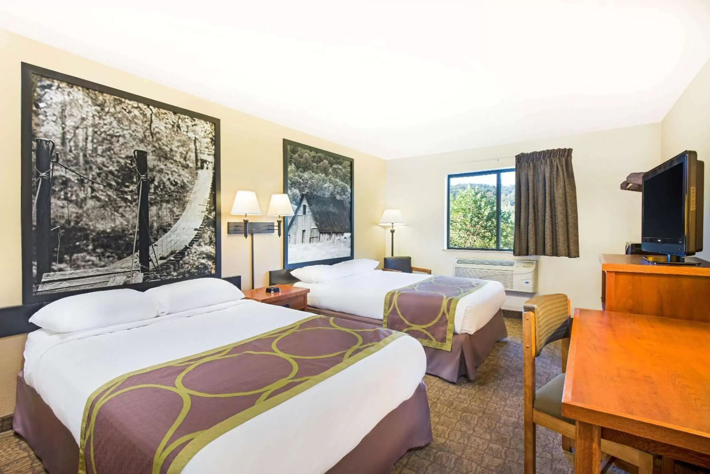 Photo of the whole room, Bed in Super 8 by Wyndham Ripley Photo of the whole room, Bed in Super 8 by Wyndham Ripley