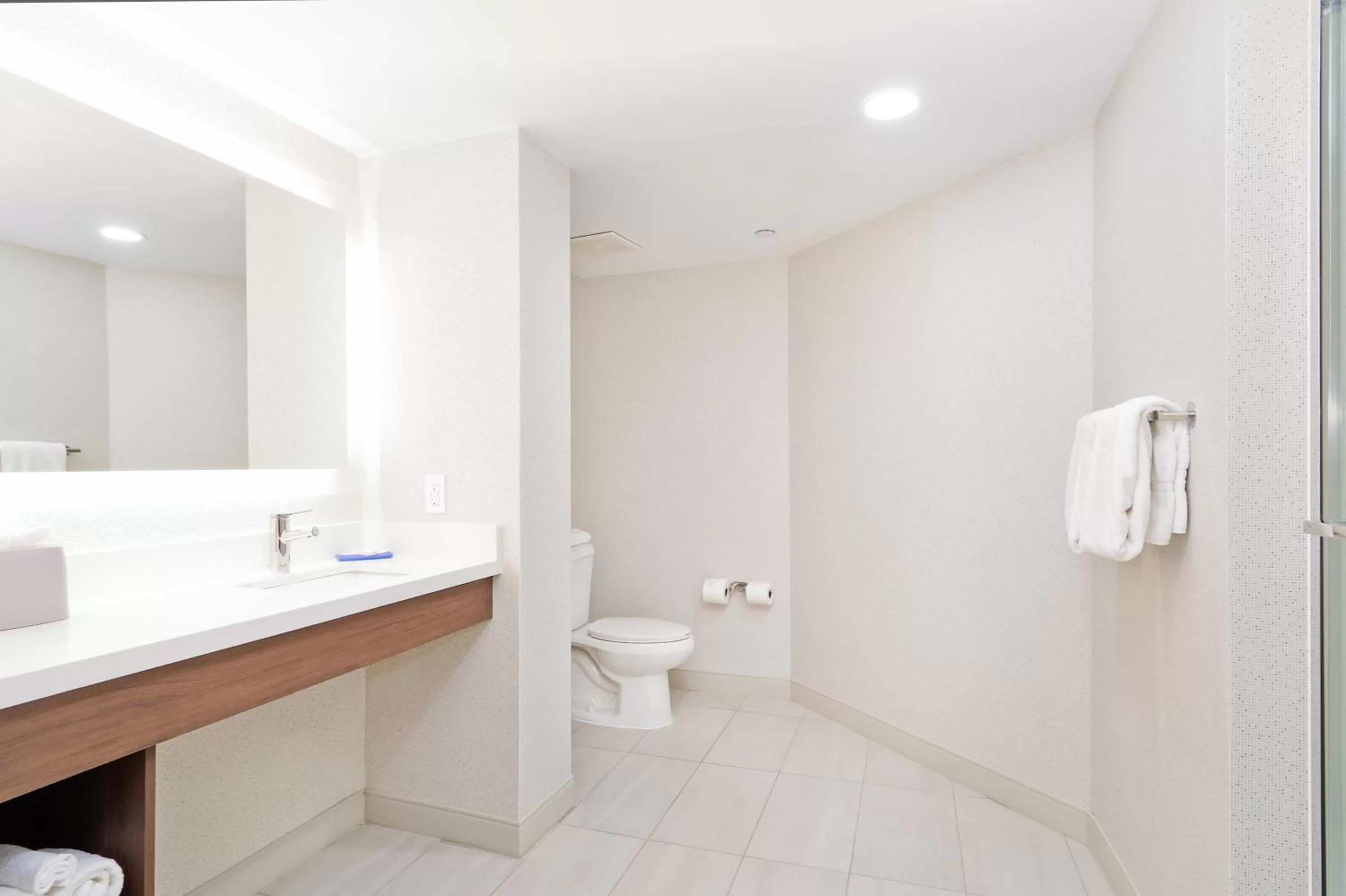 Bathroom in Holiday Inn Express & Suites Phoenix - Tempe by IHG