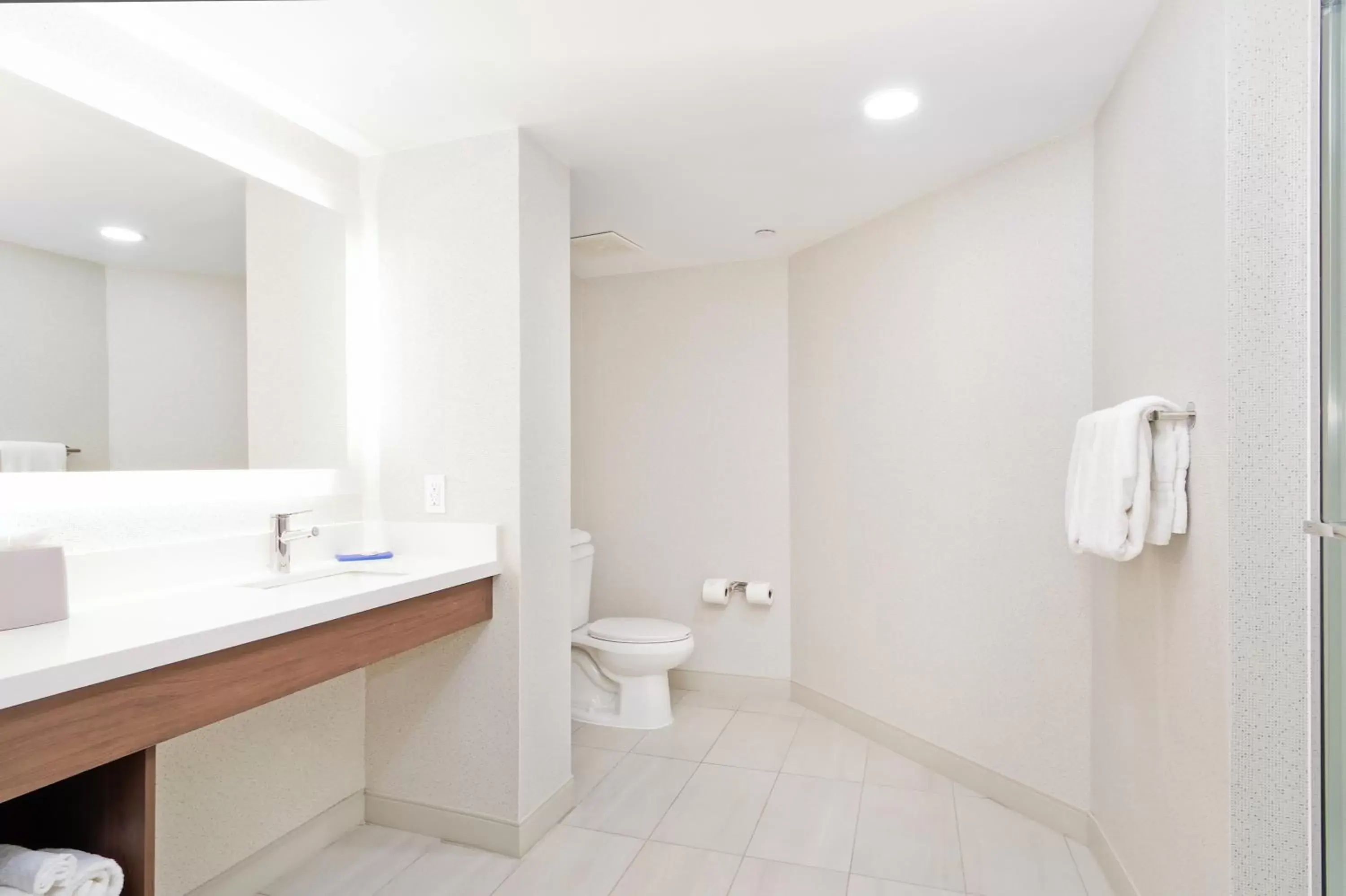 Bathroom in Holiday Inn Express & Suites Phoenix - Tempe, an IHG Hotel