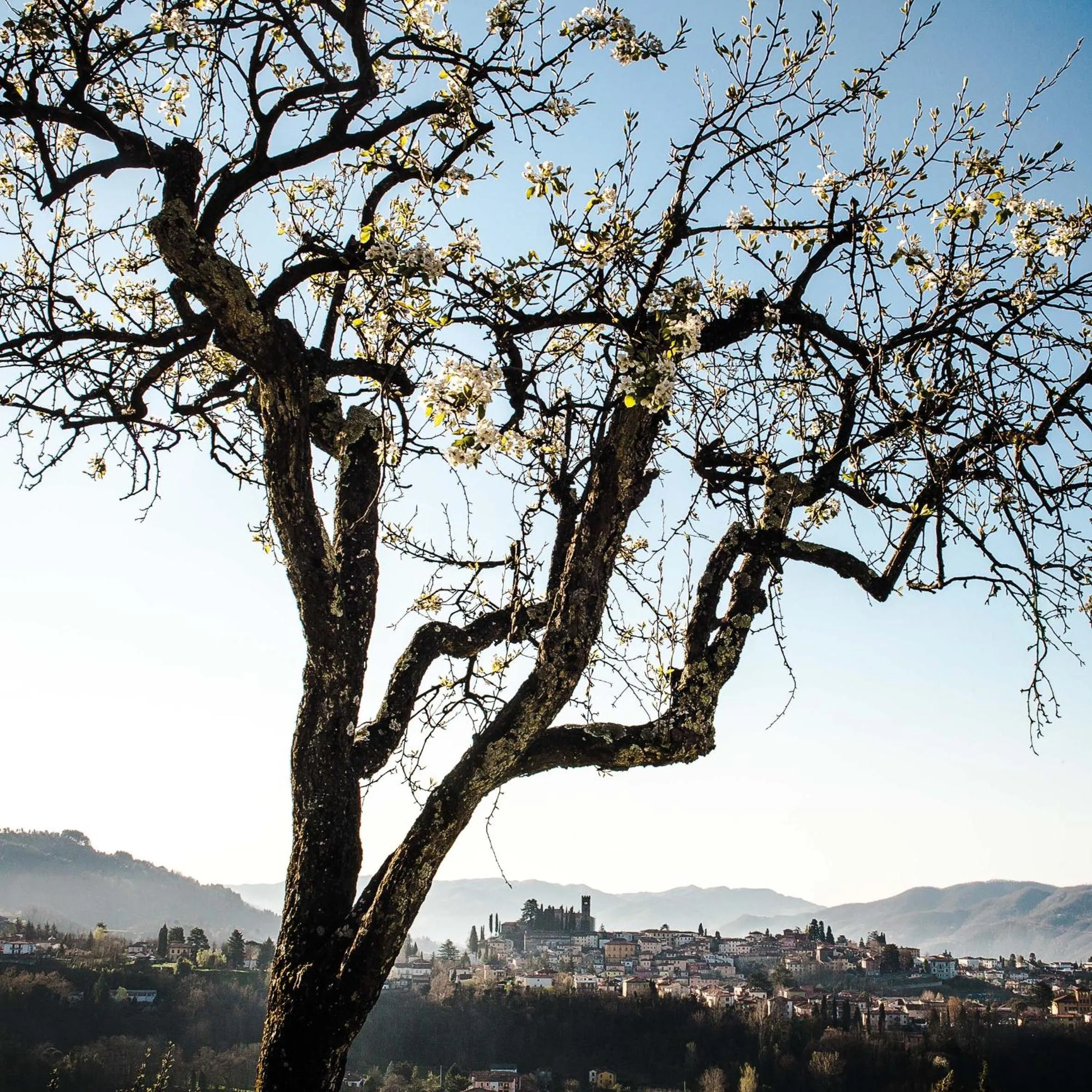 Natural landscape in Il Ciocco Hotels