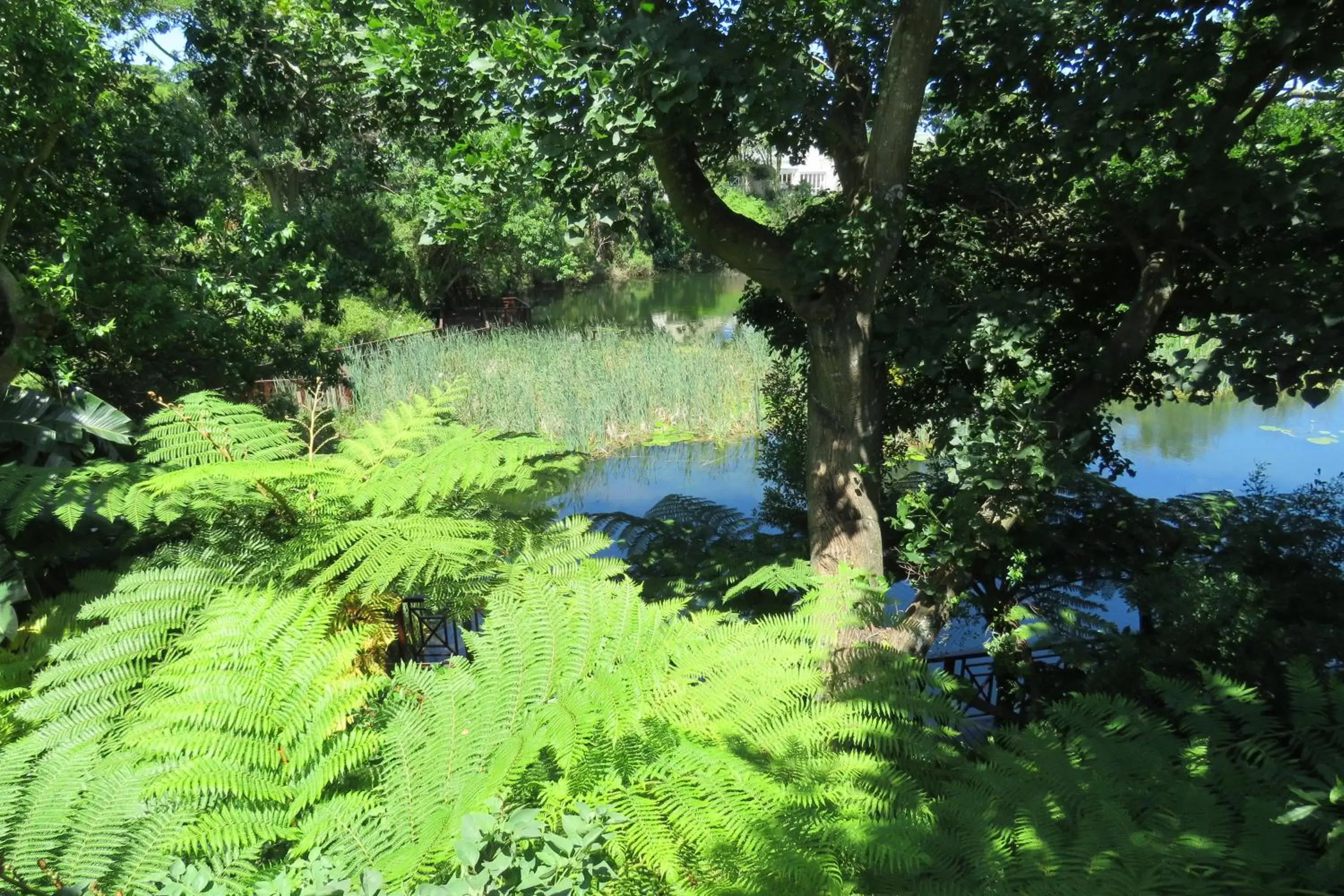 Garden in Quarry Lake Inn