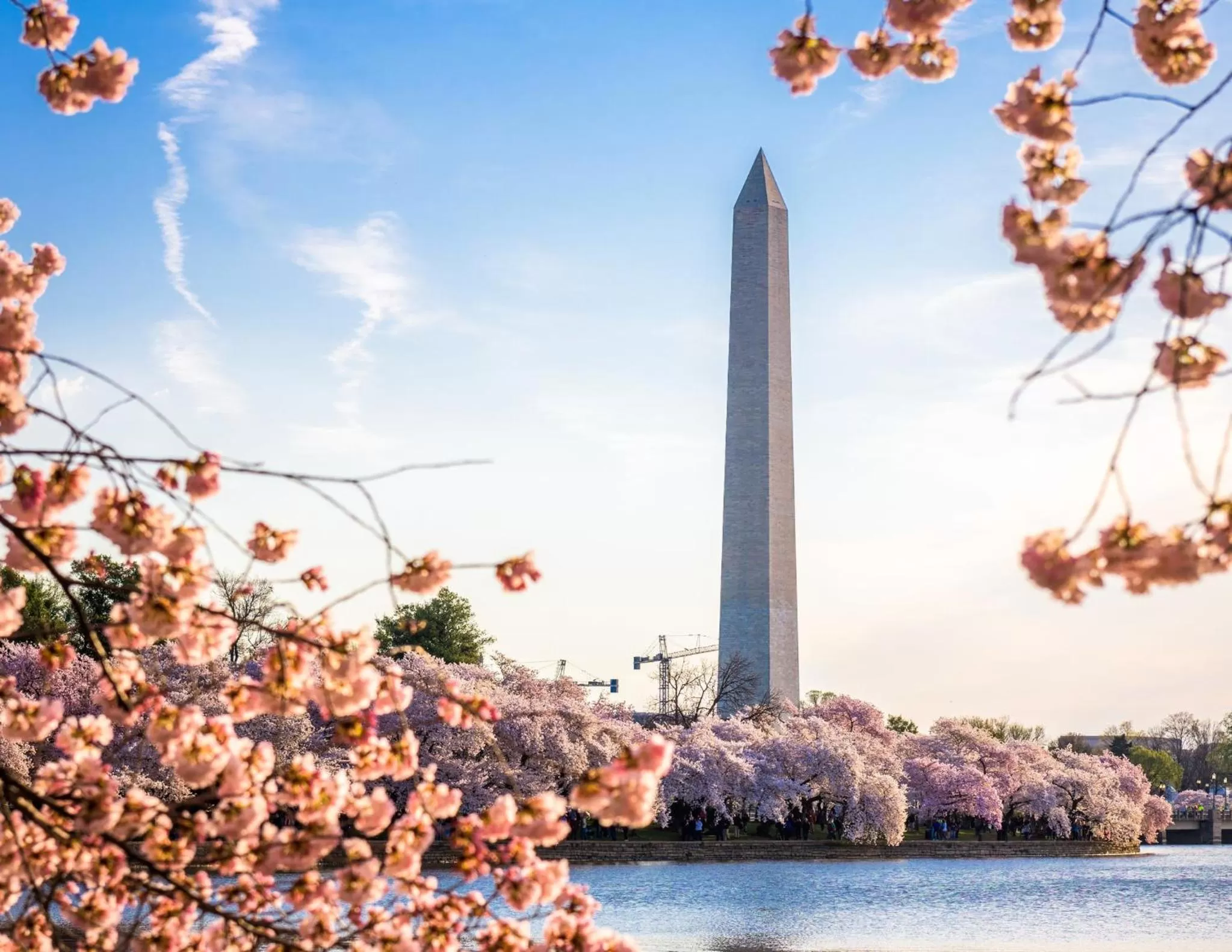 Nearby landmark in Staybridge Suites Washington D.C. - Greenbelt by IHG