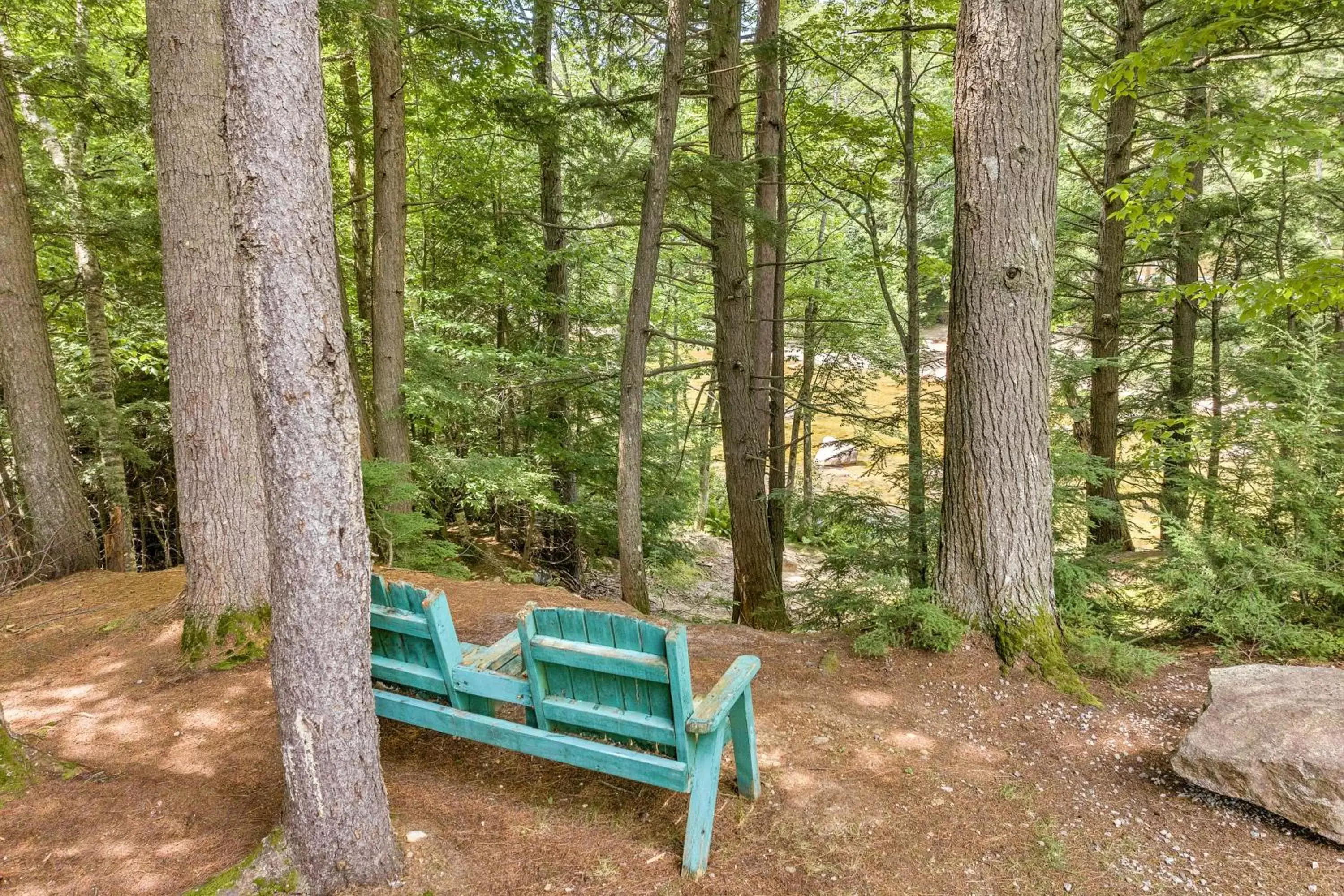 River view in The Inn & More River view in The Inn & More